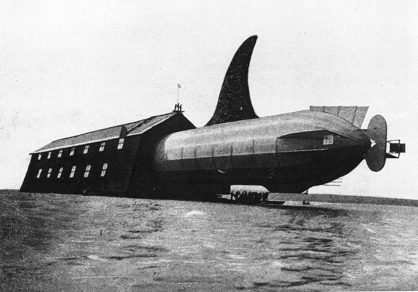 blimp fin.jpg