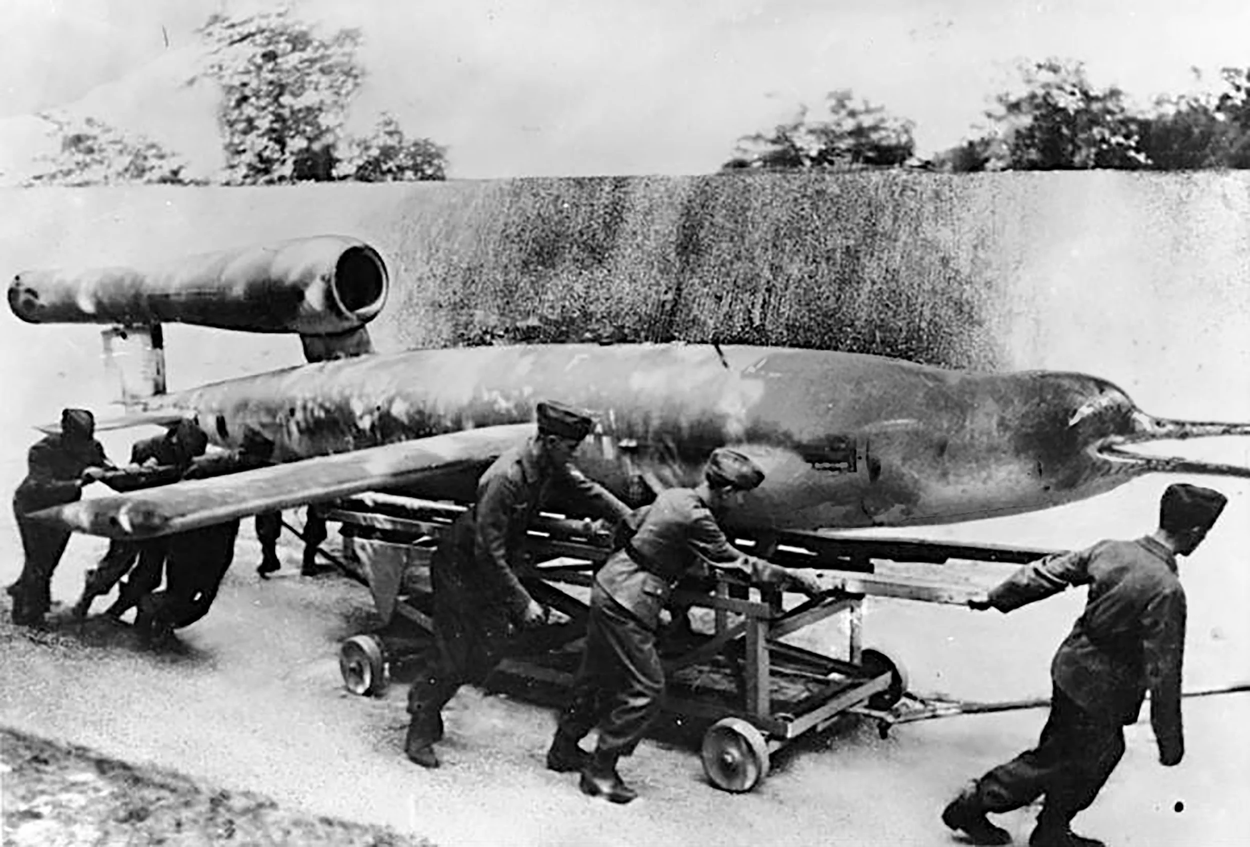 Bundesarchiv_dolphin.jpg