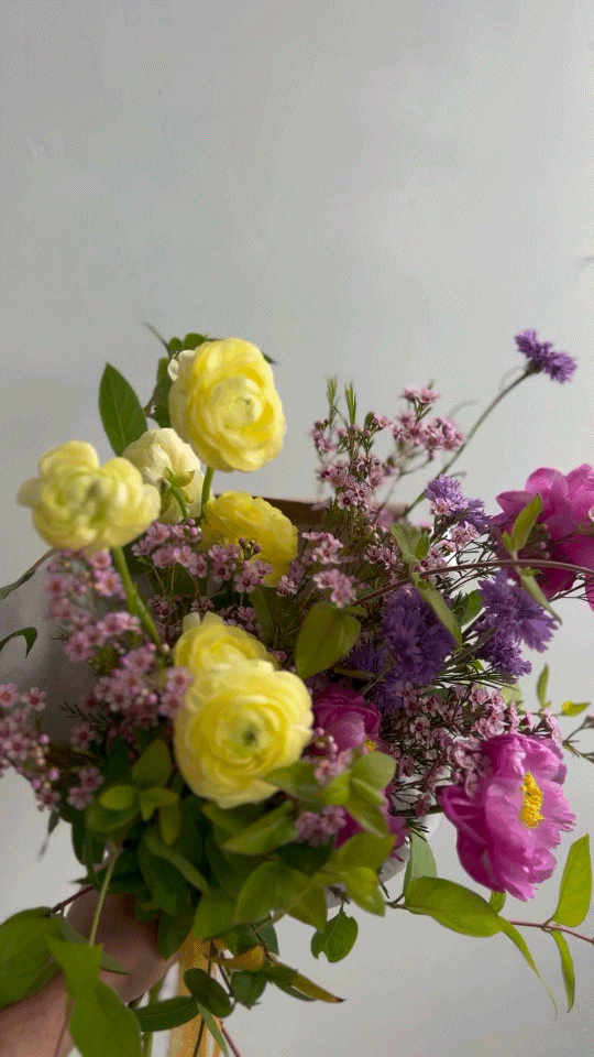 GMP_U2F2ZUdIMDE= 2.GIF