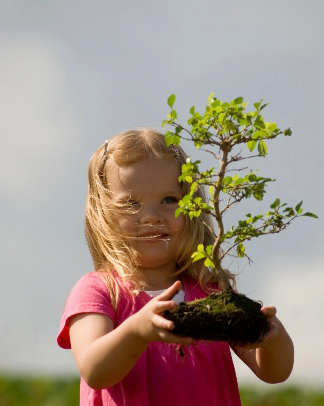 little girl holding a plant