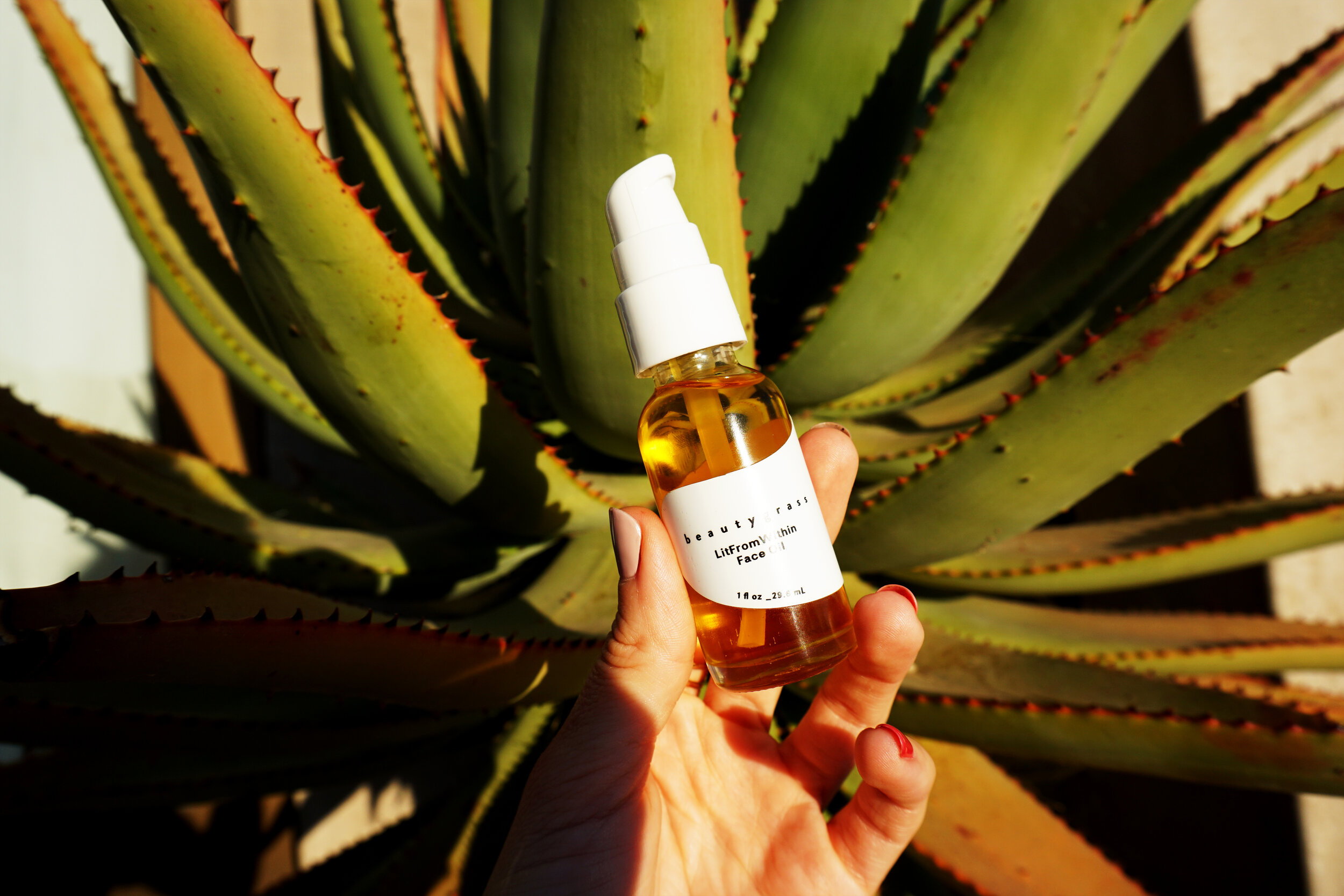face oil in front of cactus.jpg