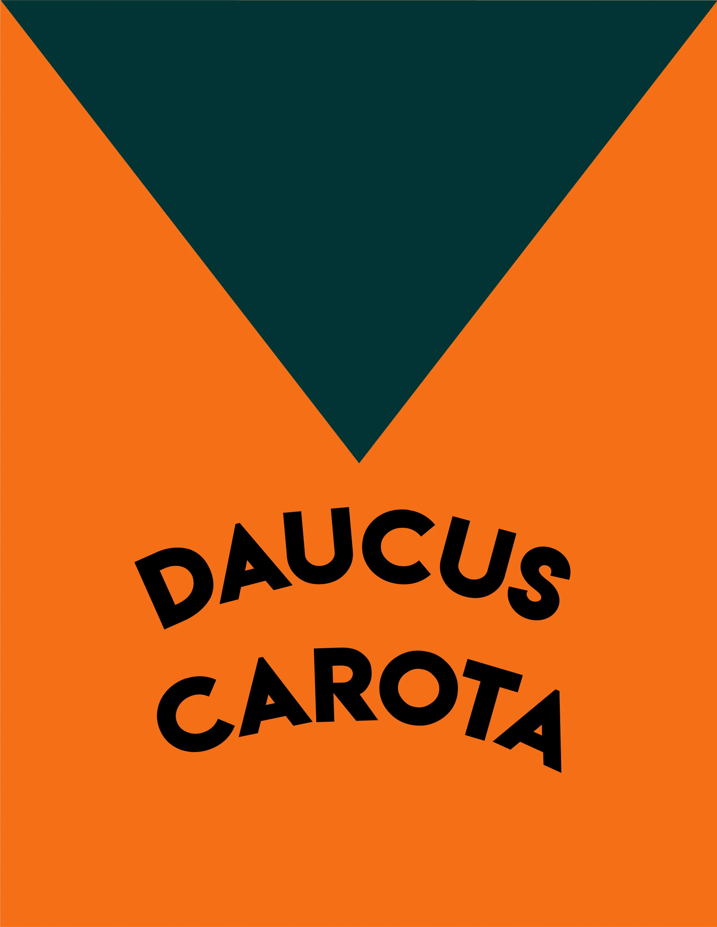 carrot zine-19.jpg
