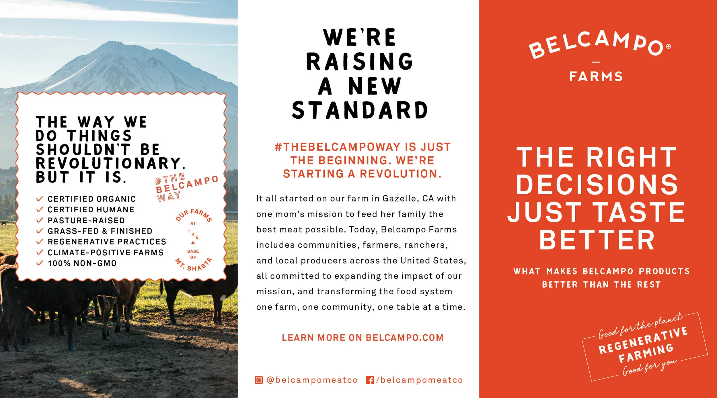 BELCAMPO_3x5_ABOUT PAMPHLET2.jpg