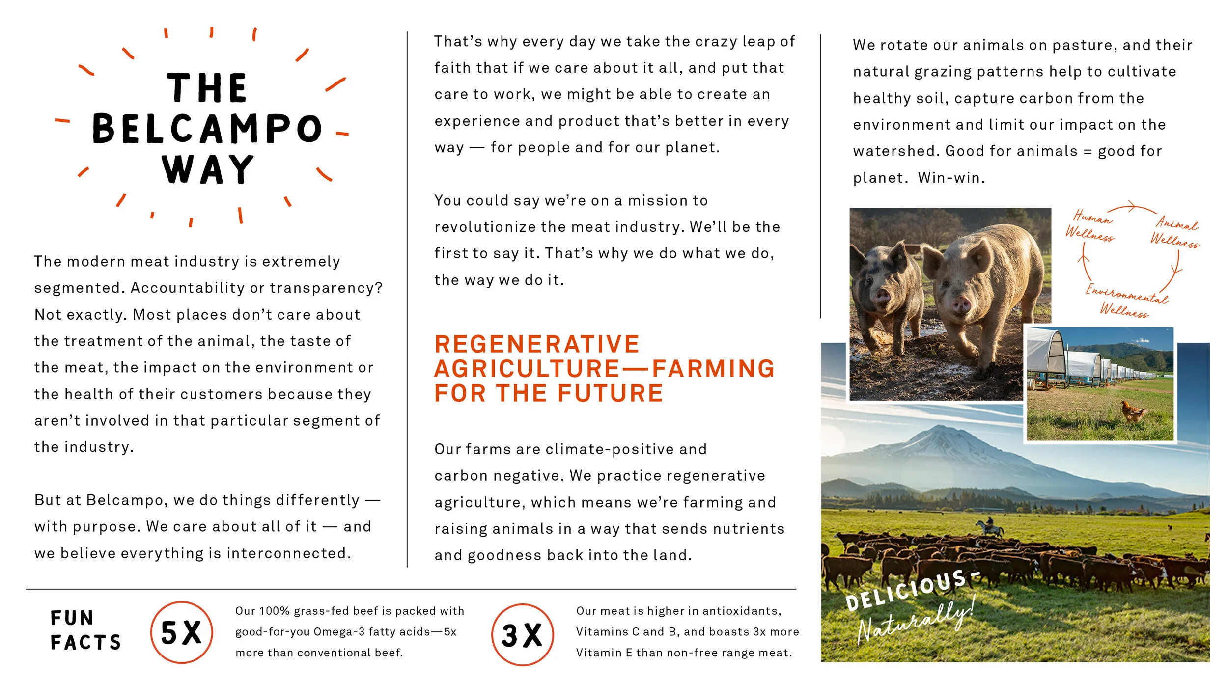 BELCAMPO_3x5_ABOUT PAMPHLET.jpg