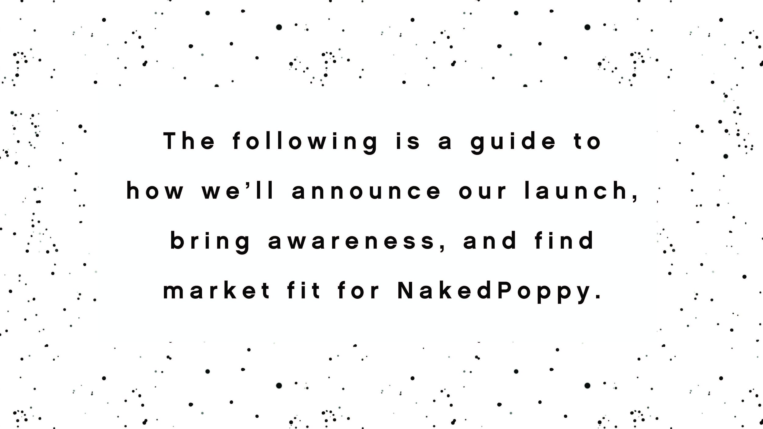 NakedPoppy Social Strategy R2_Page_03.jpg