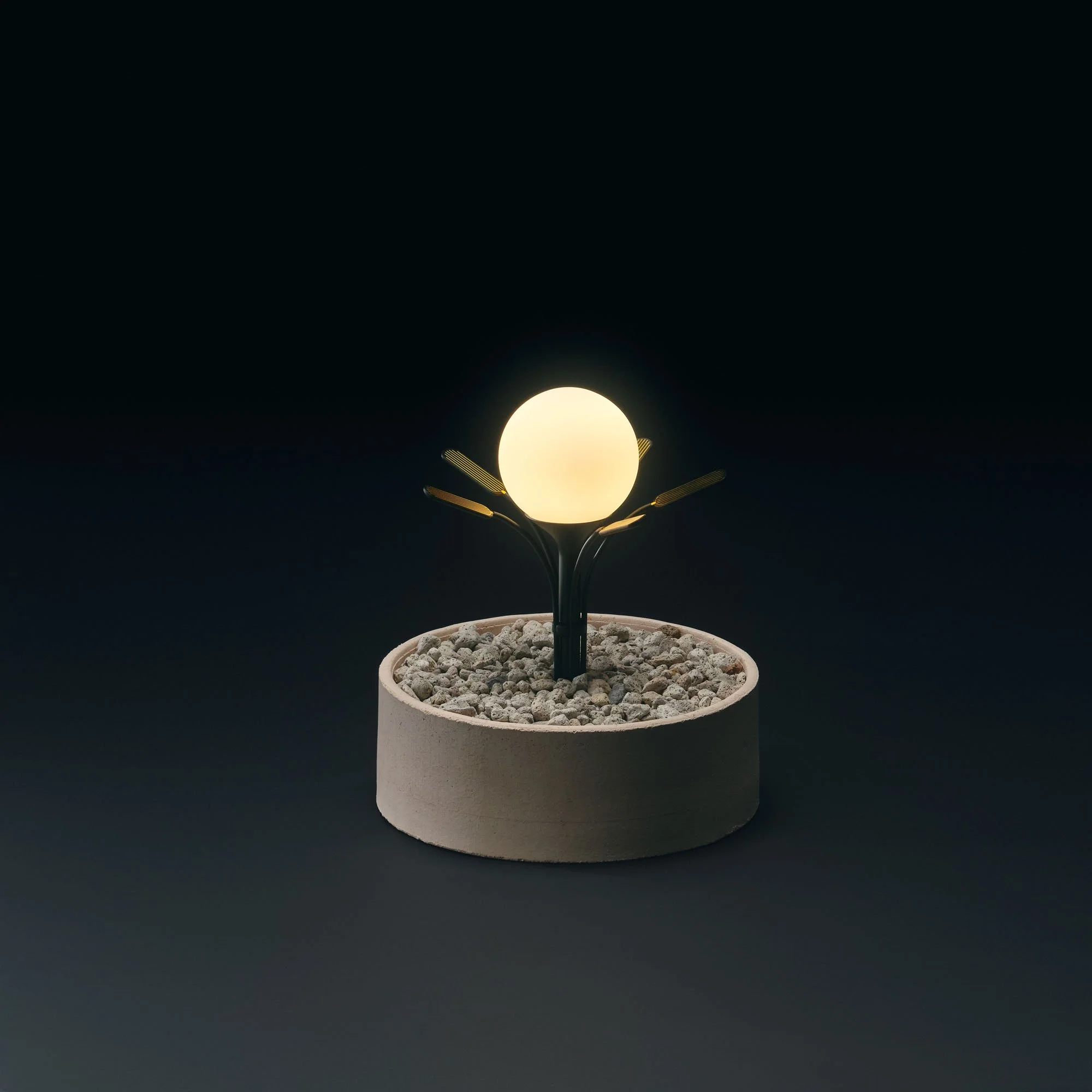 綿毛を模したインタラクティブプロトタイプ