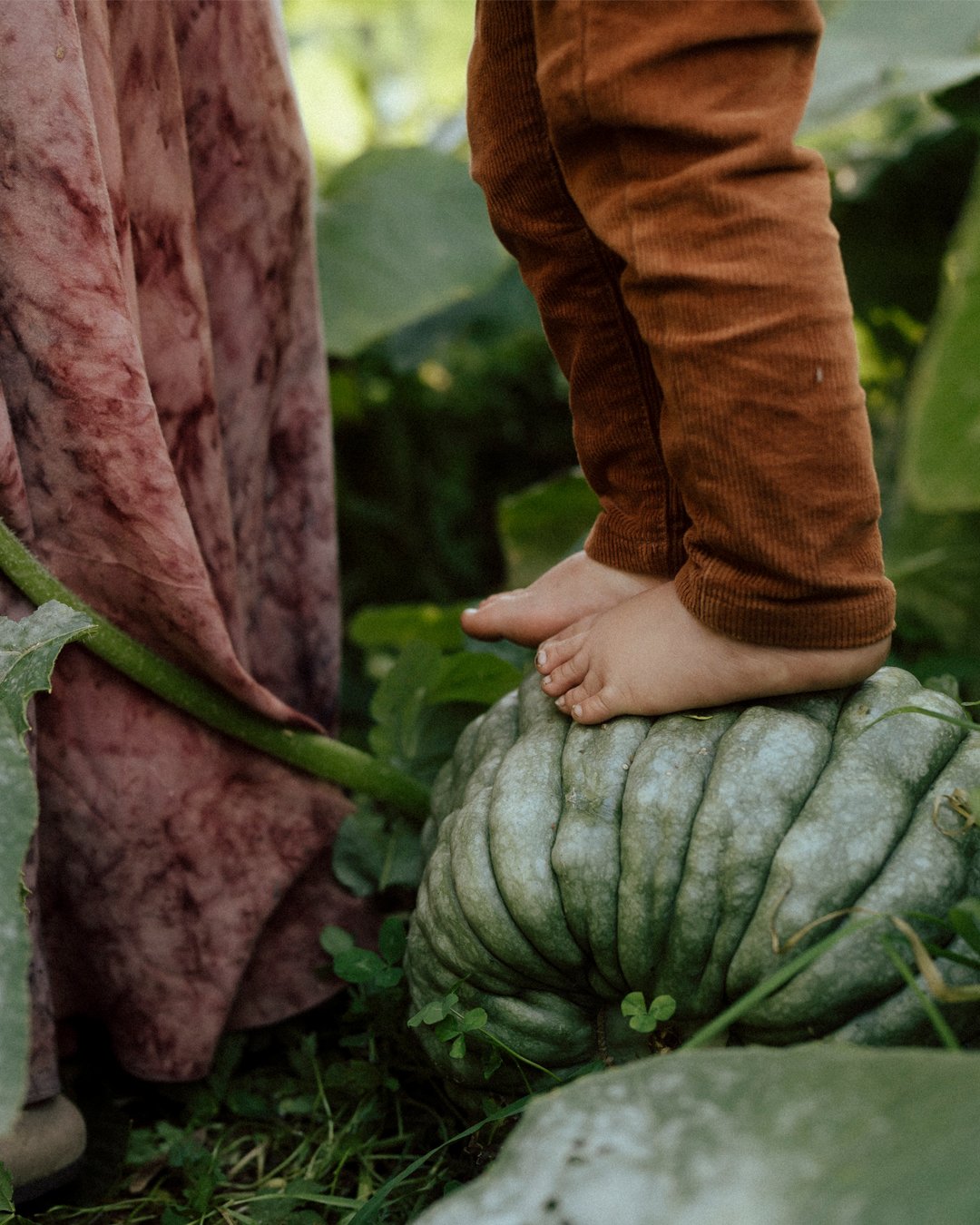 Happy sunny thursday to whoever these photos might find. (Please algorithms!)
I'm gently returning to posting back on social media after an unintentional, then intentional break, with these photos I enjoyed capturing last summer with Melissa, Dale an