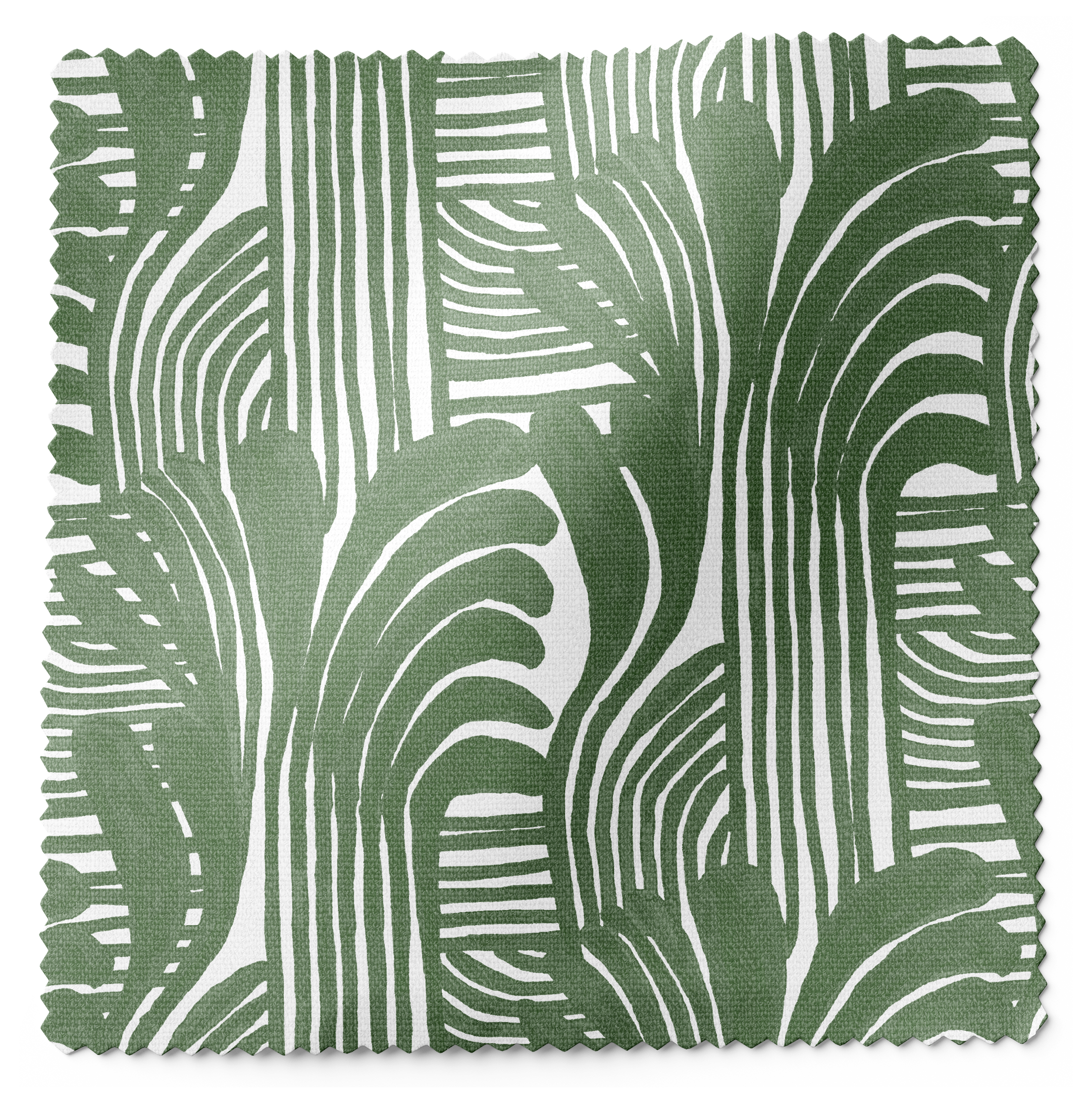 Palmera Forest