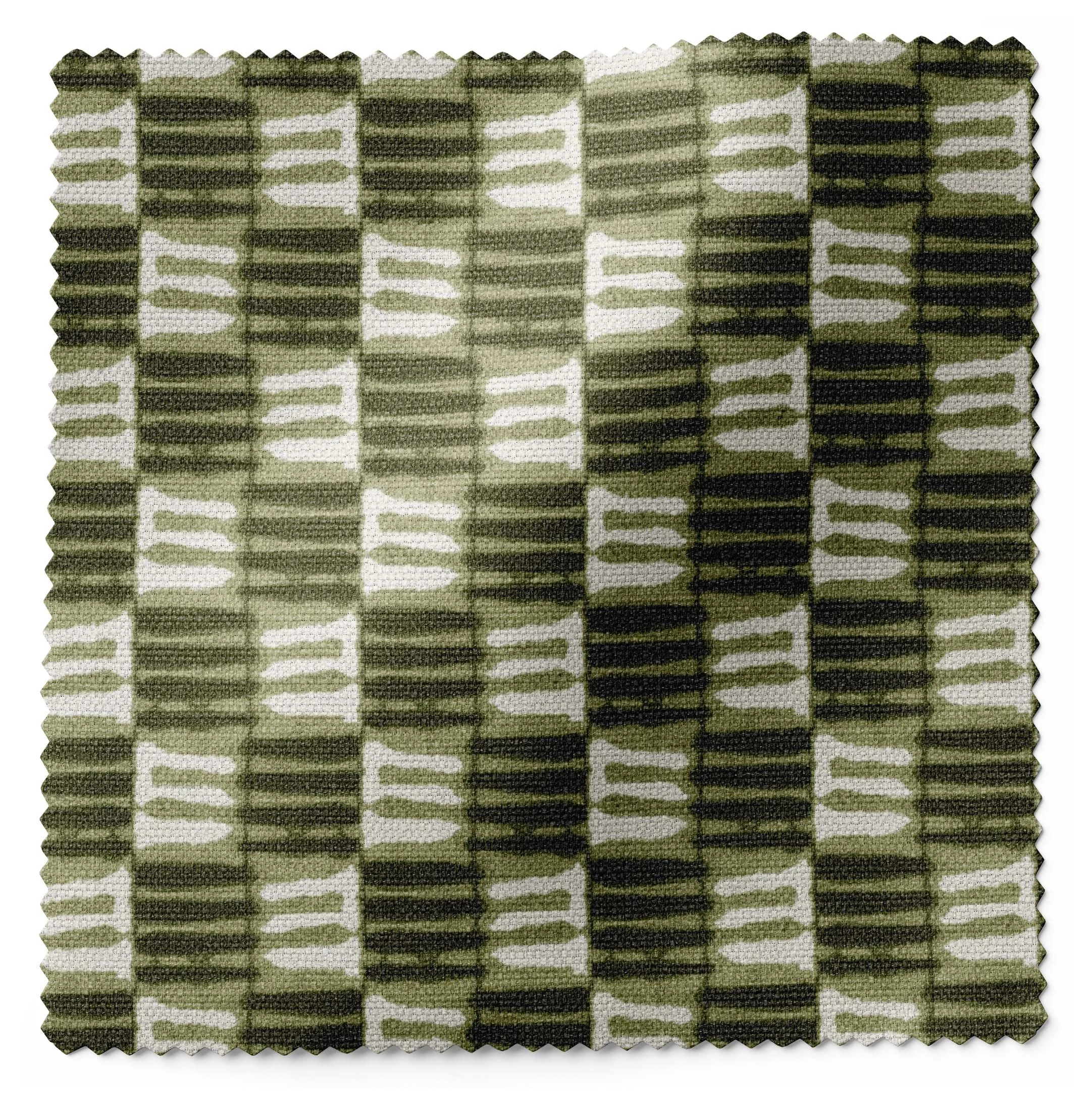 Koshi Olive