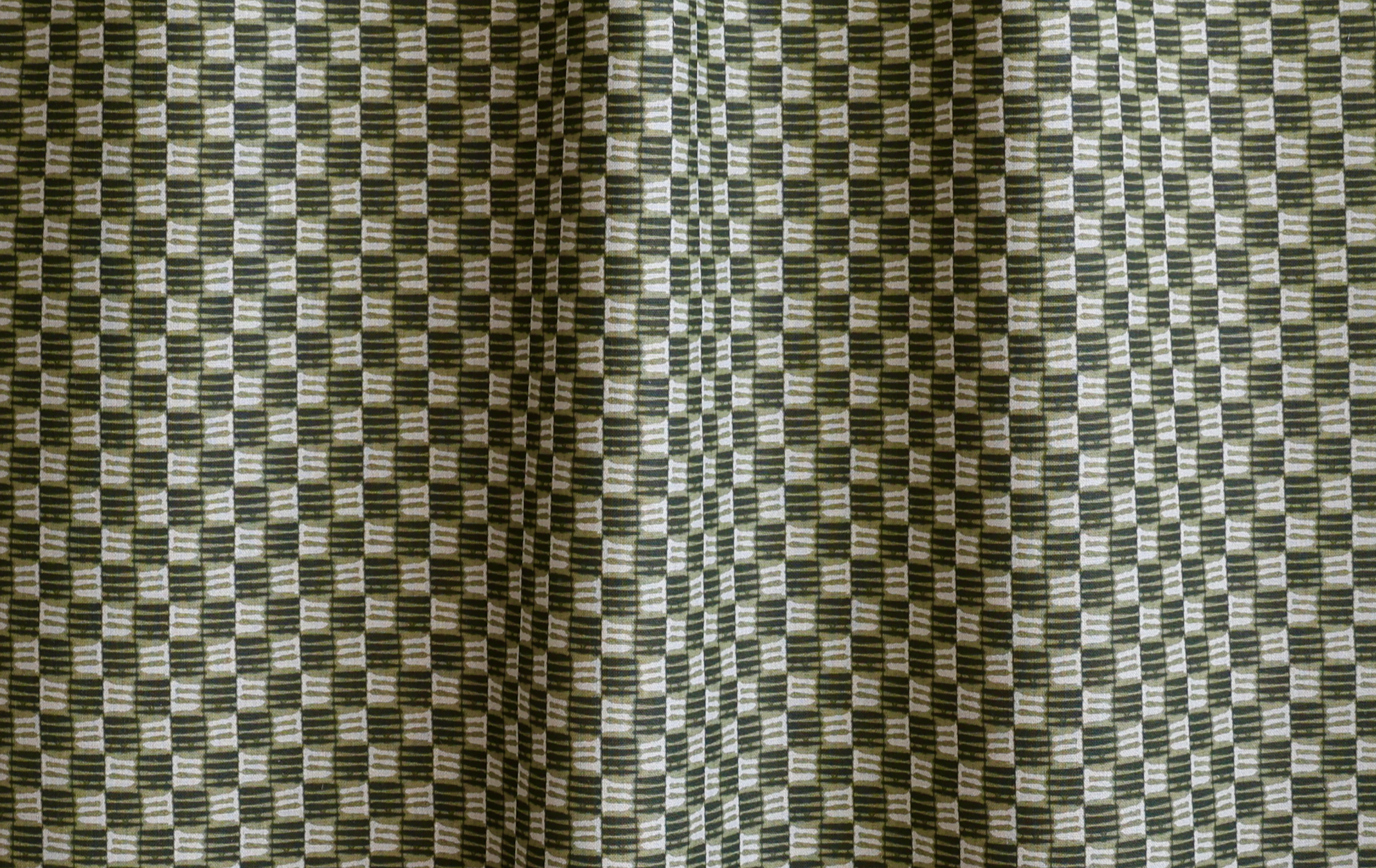 koshi olive.png
