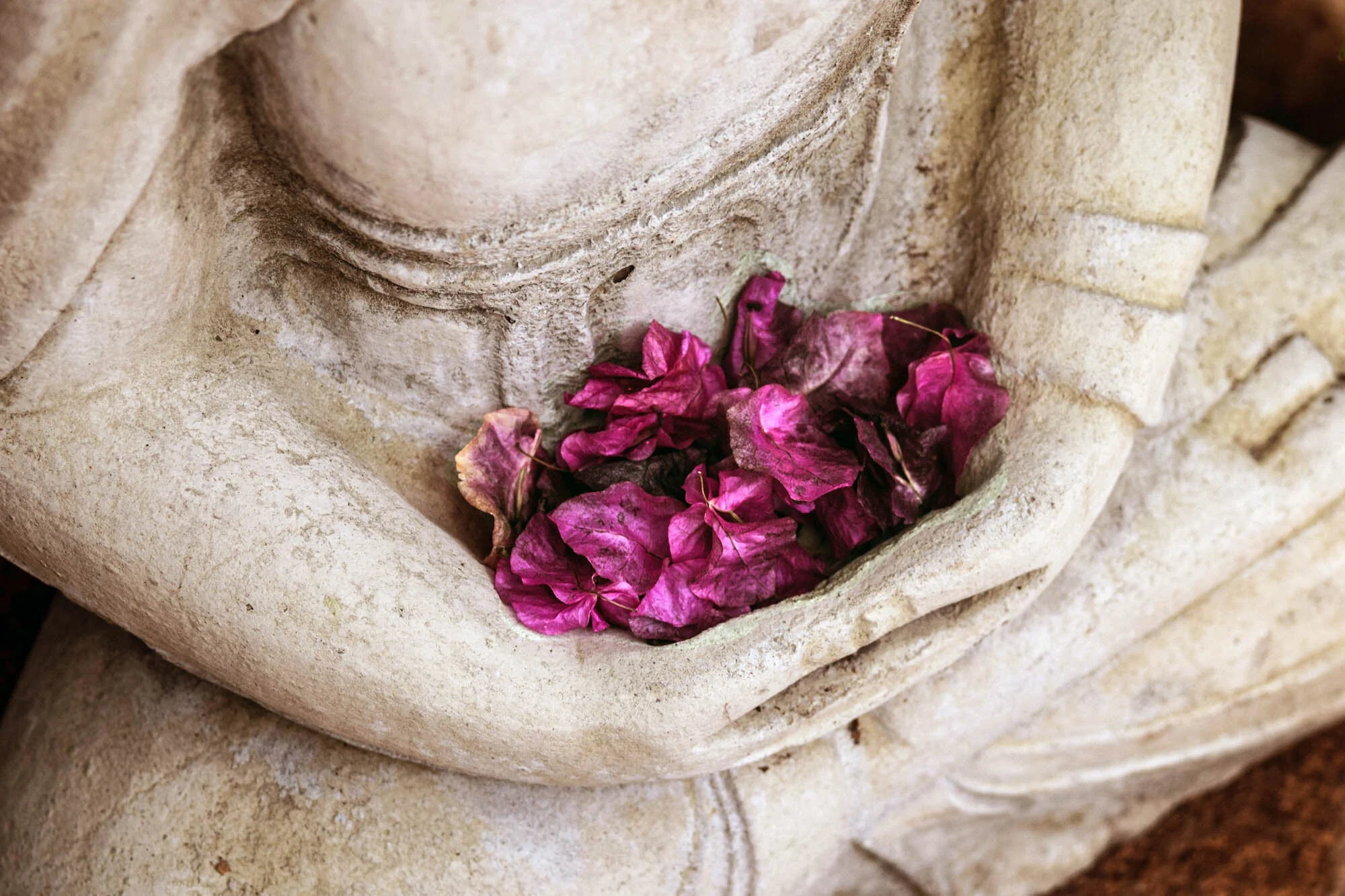 buddha with red blossoms.jpg