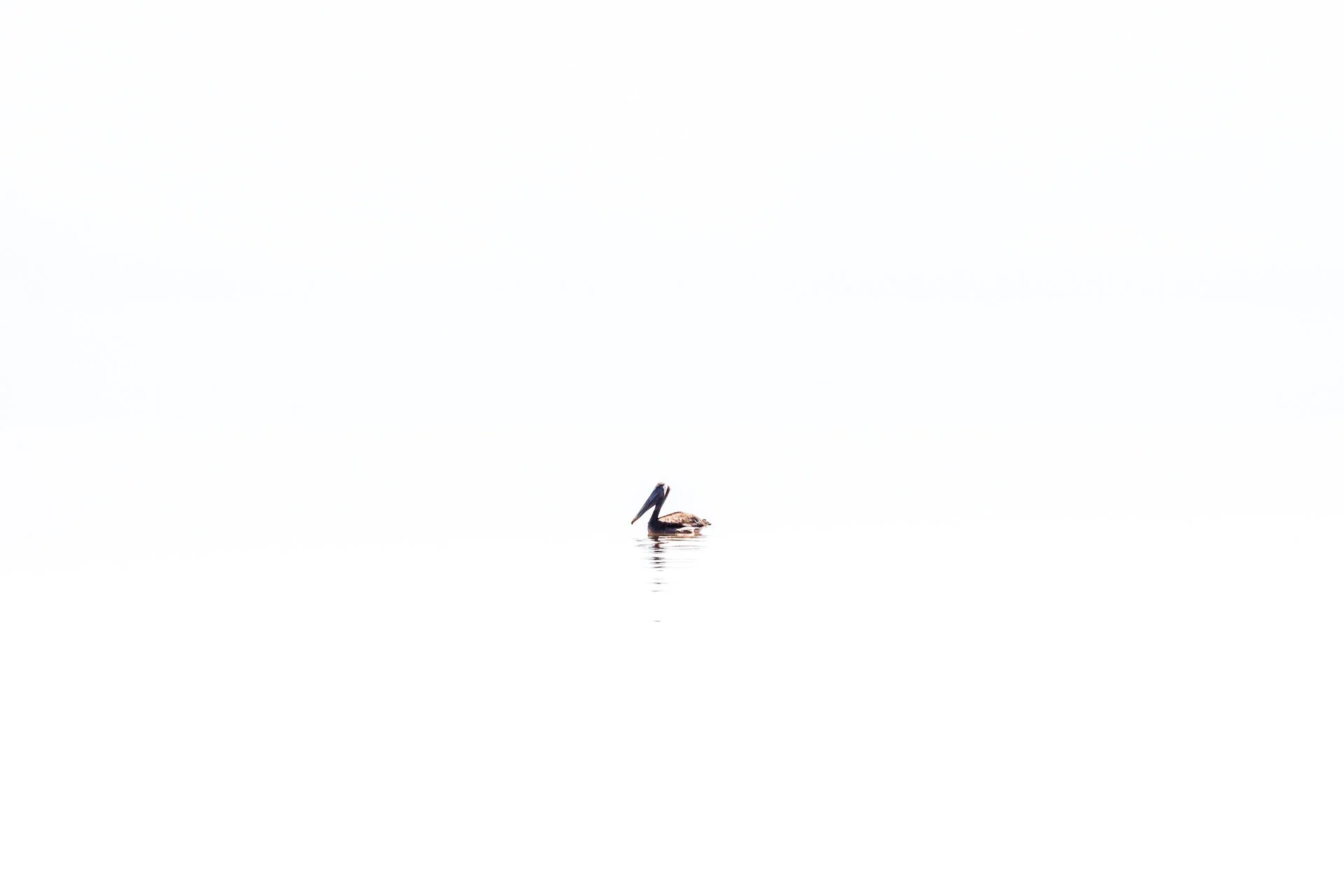 Aislamiento-4.jpg