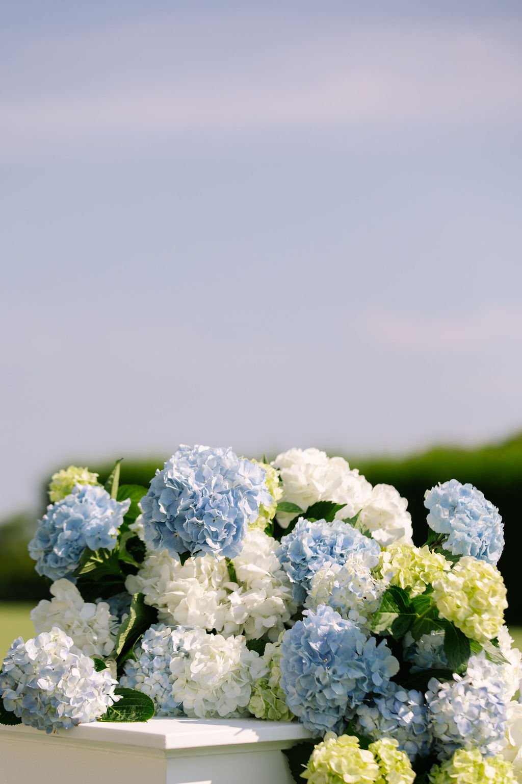 C&I_WeddingPreviews-121.jpg