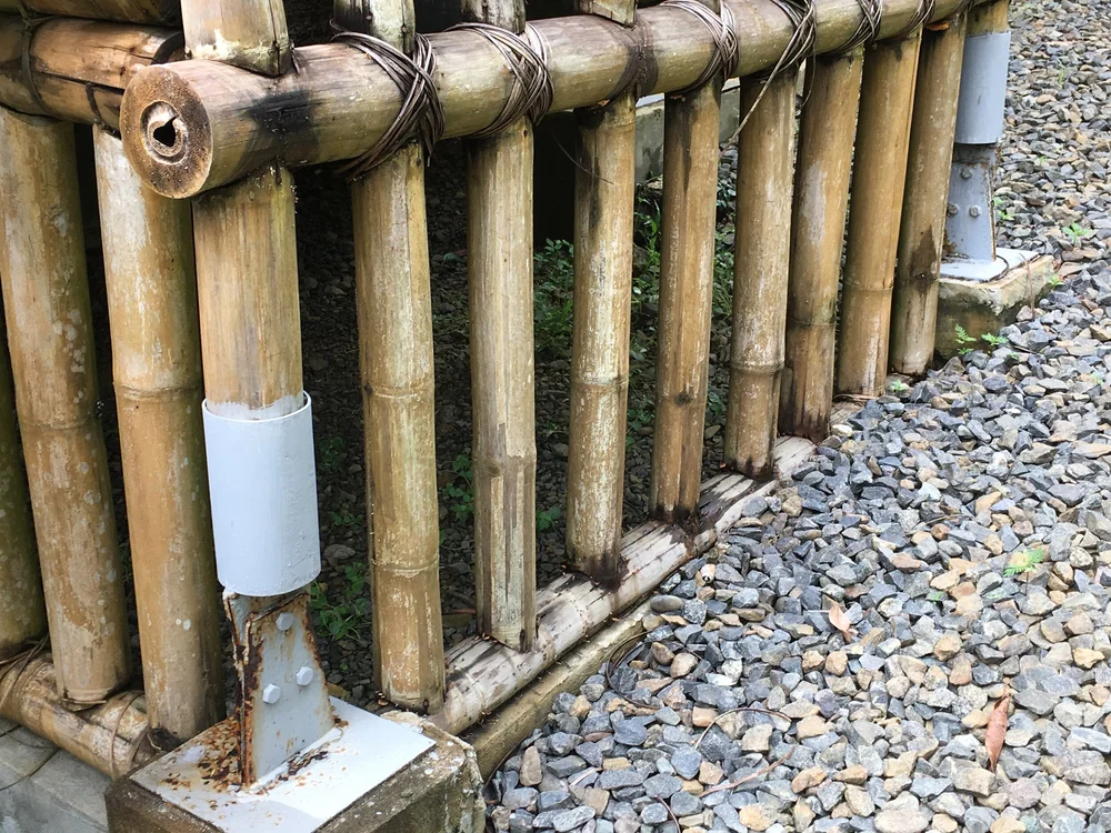 How long can bamboo last? — Better Bamboo Buildings