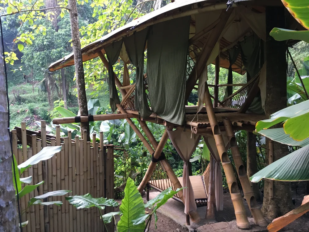 I want a bamboo house  Better Bamboo Buildings