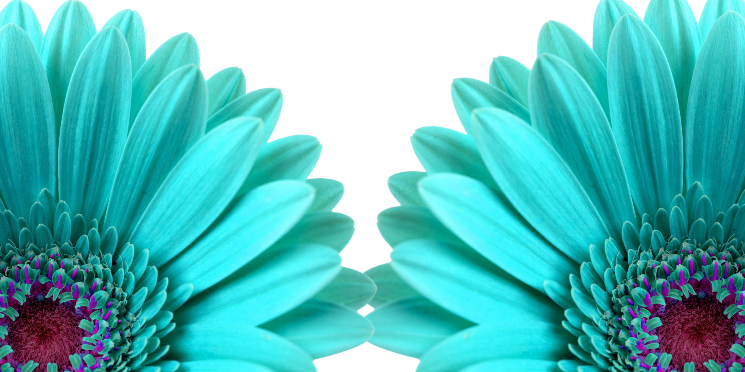 Copy of Copy of Copy of Untitled (4).png