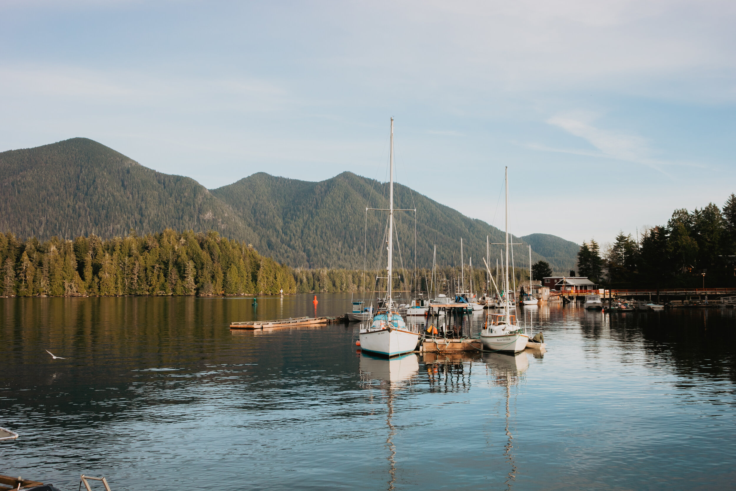 View from Tofino Resort and Marina