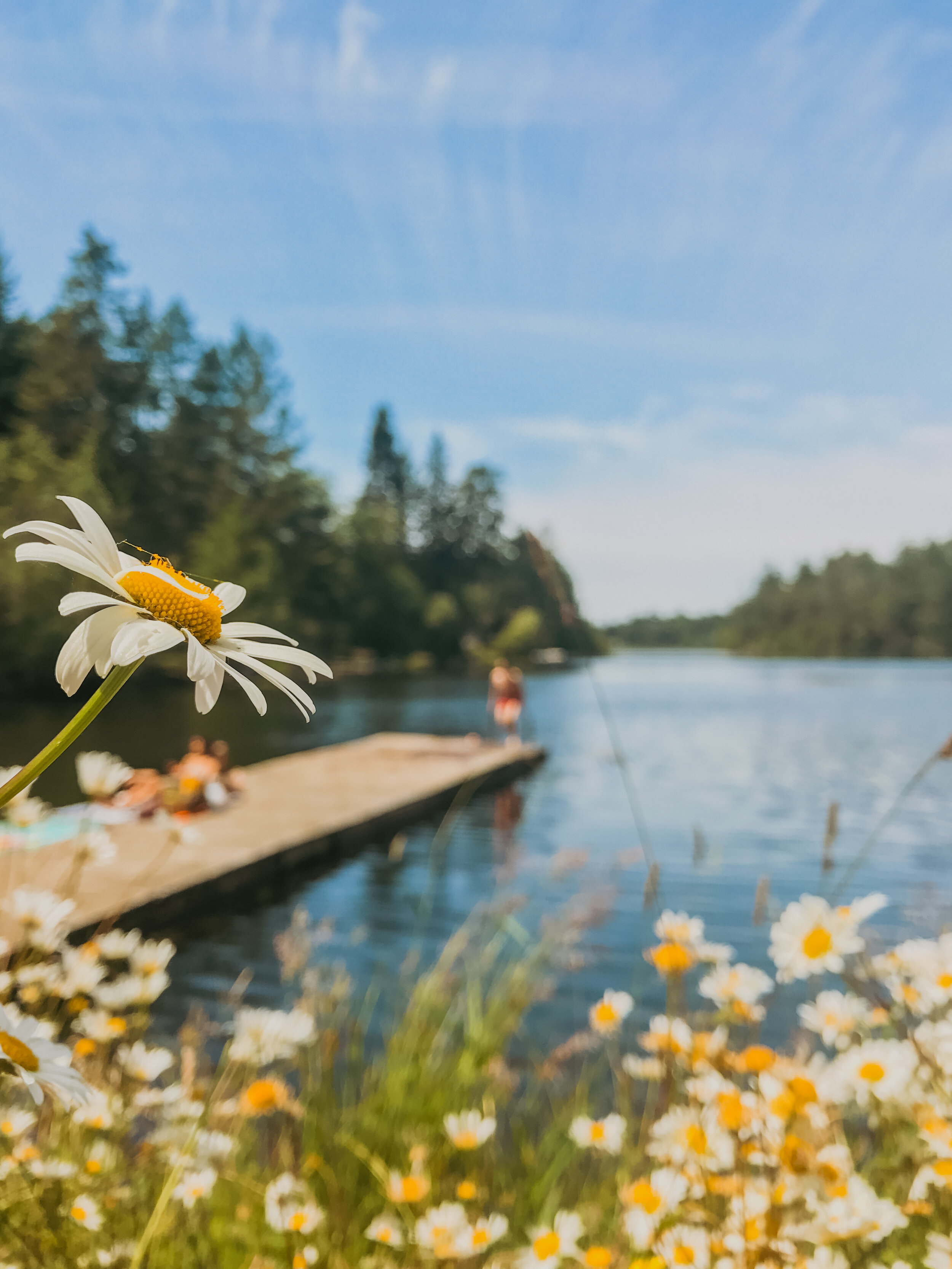 Magic Lake on Pender Island in the summer