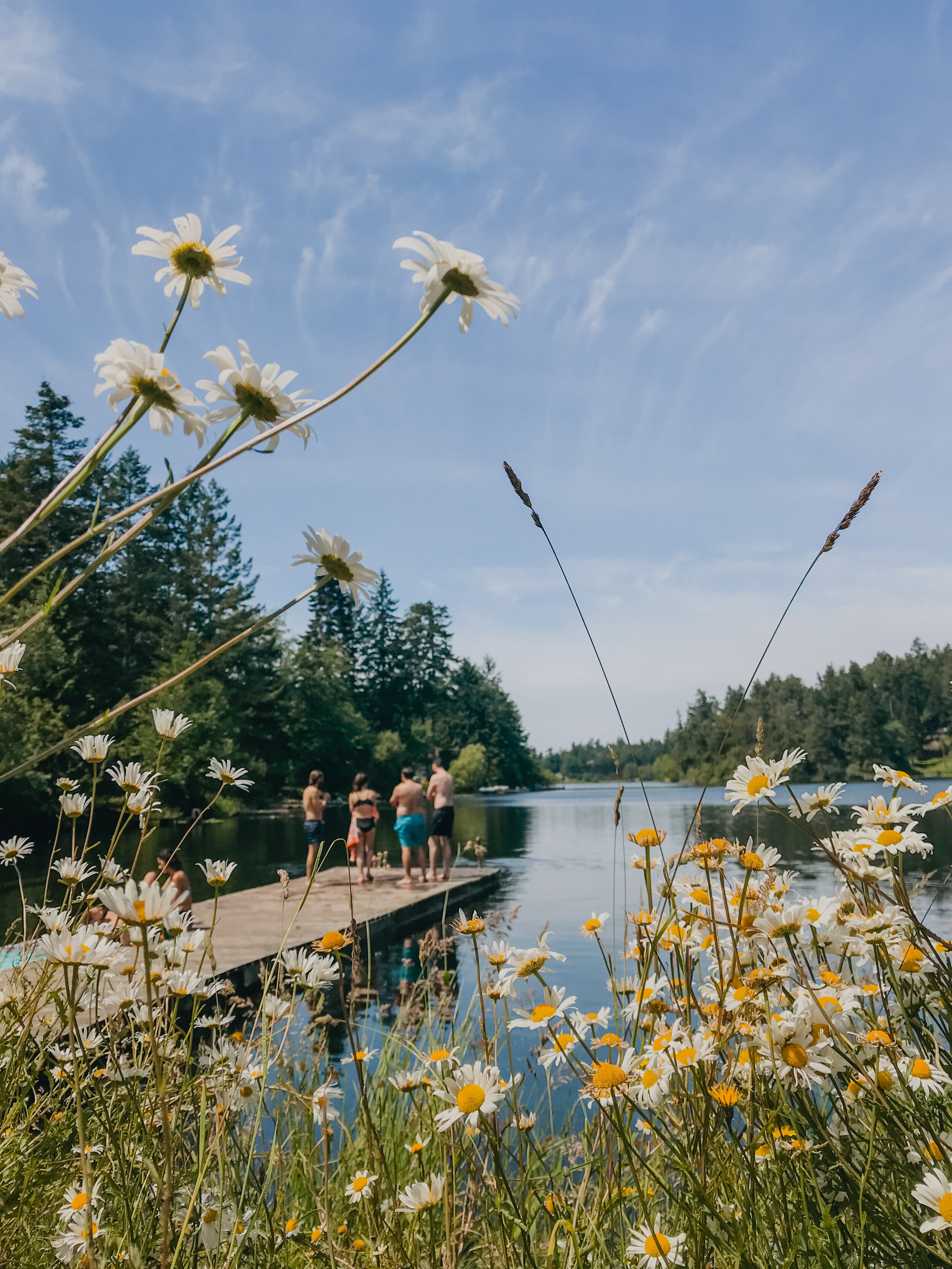 Group of friends swimming at Magic Lake on Pender Island