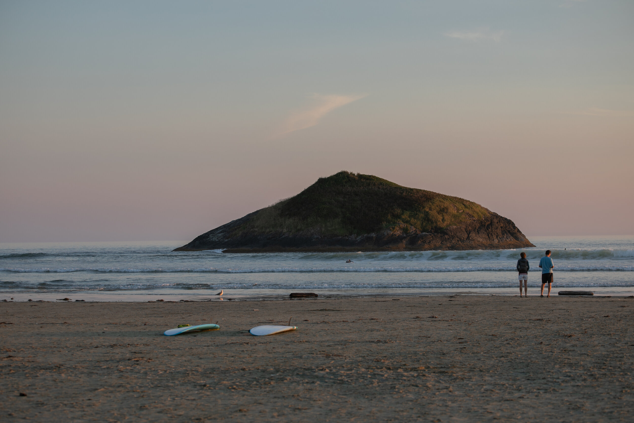 Surf boards on the beach
