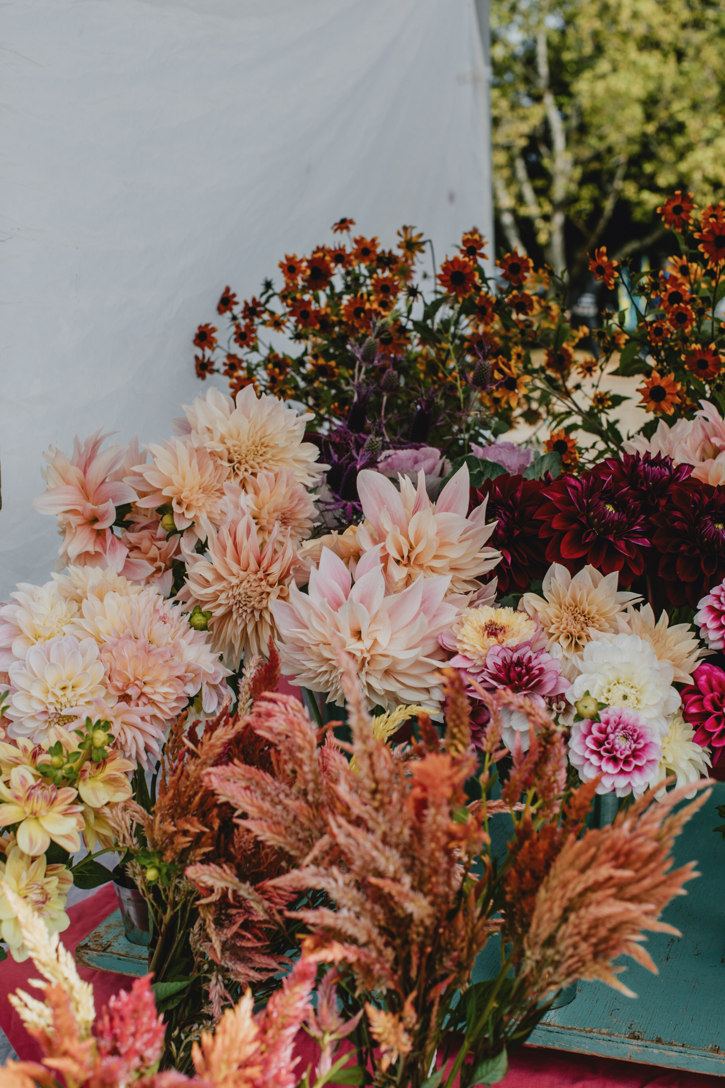 Flowers at the Saturday Market on Salt Spring Island