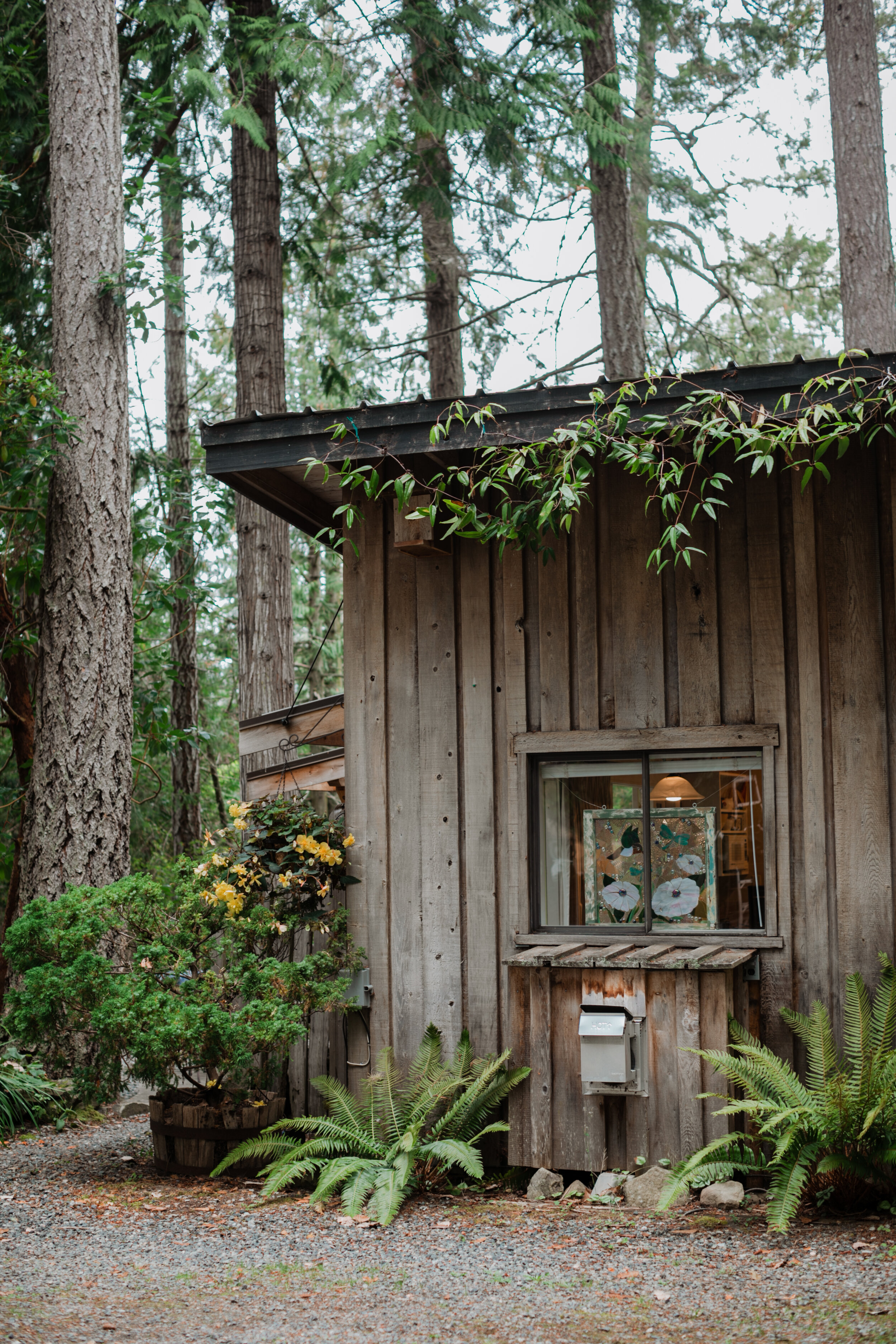 Side of the Soul Reflections Airbnb on Salt Spring Island