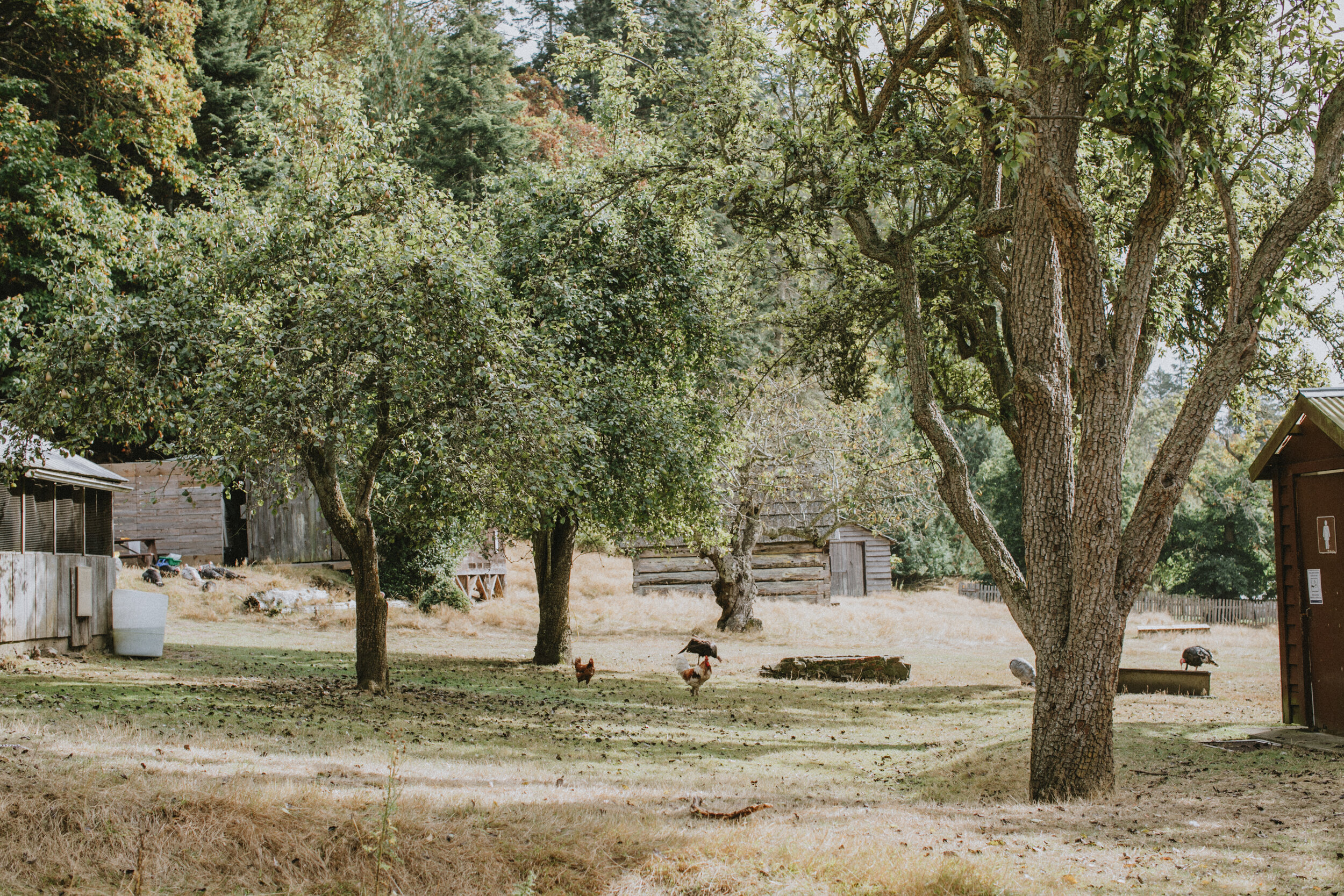 Farm on Salt Spring Island