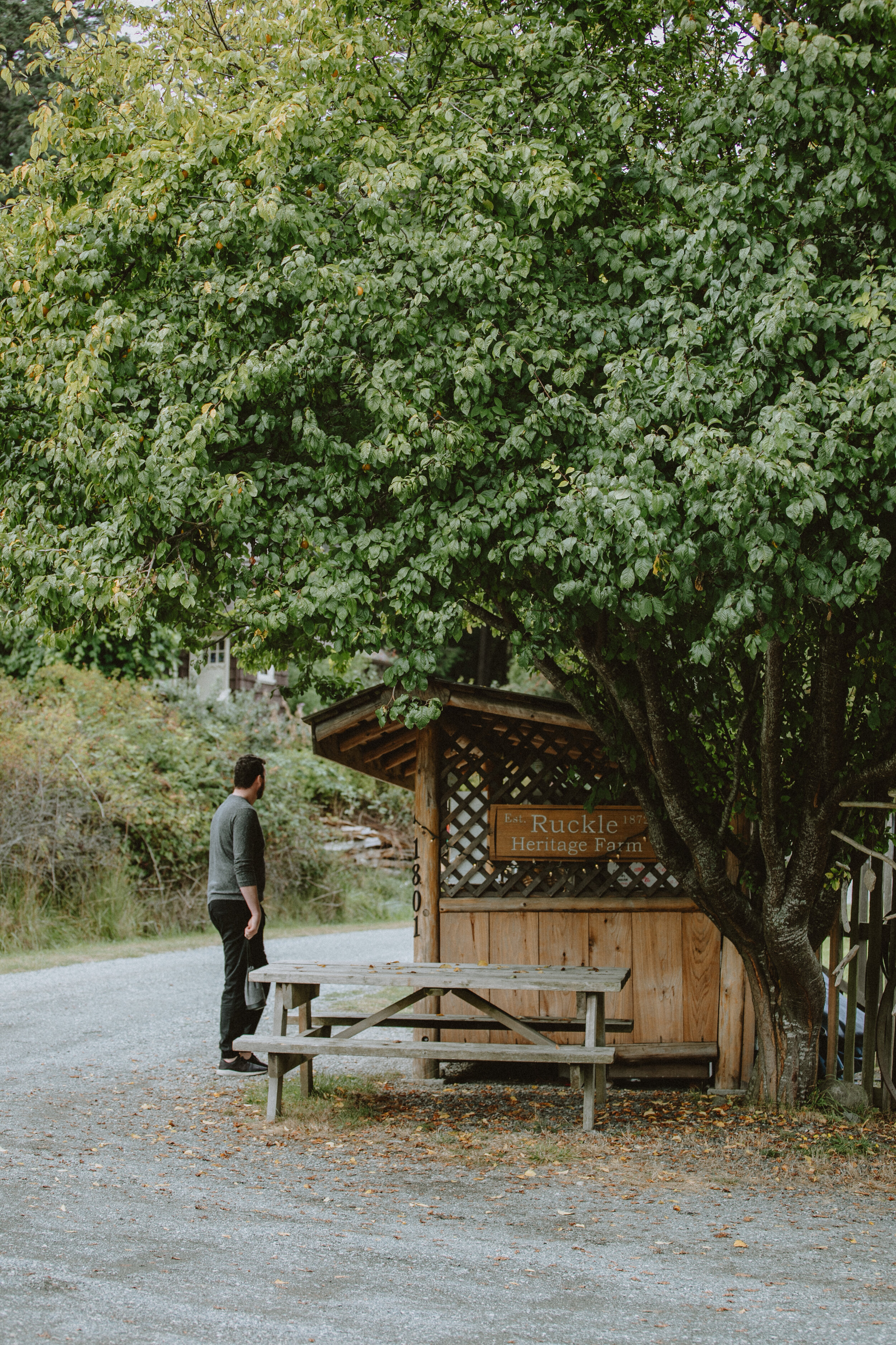Ruckle Heritage Farm on Salt Spring Island