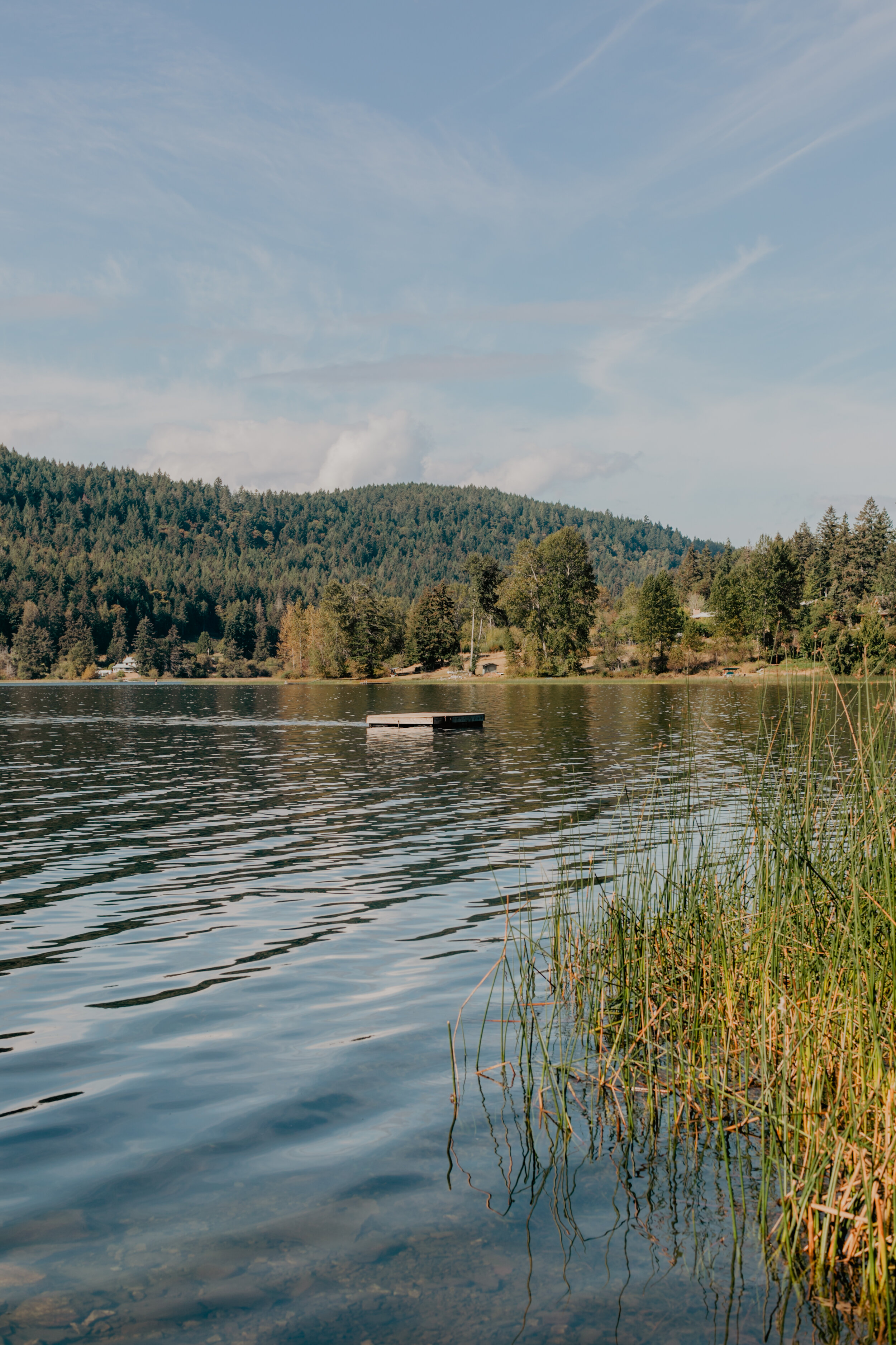 SaltSpringDay2-26.jpg