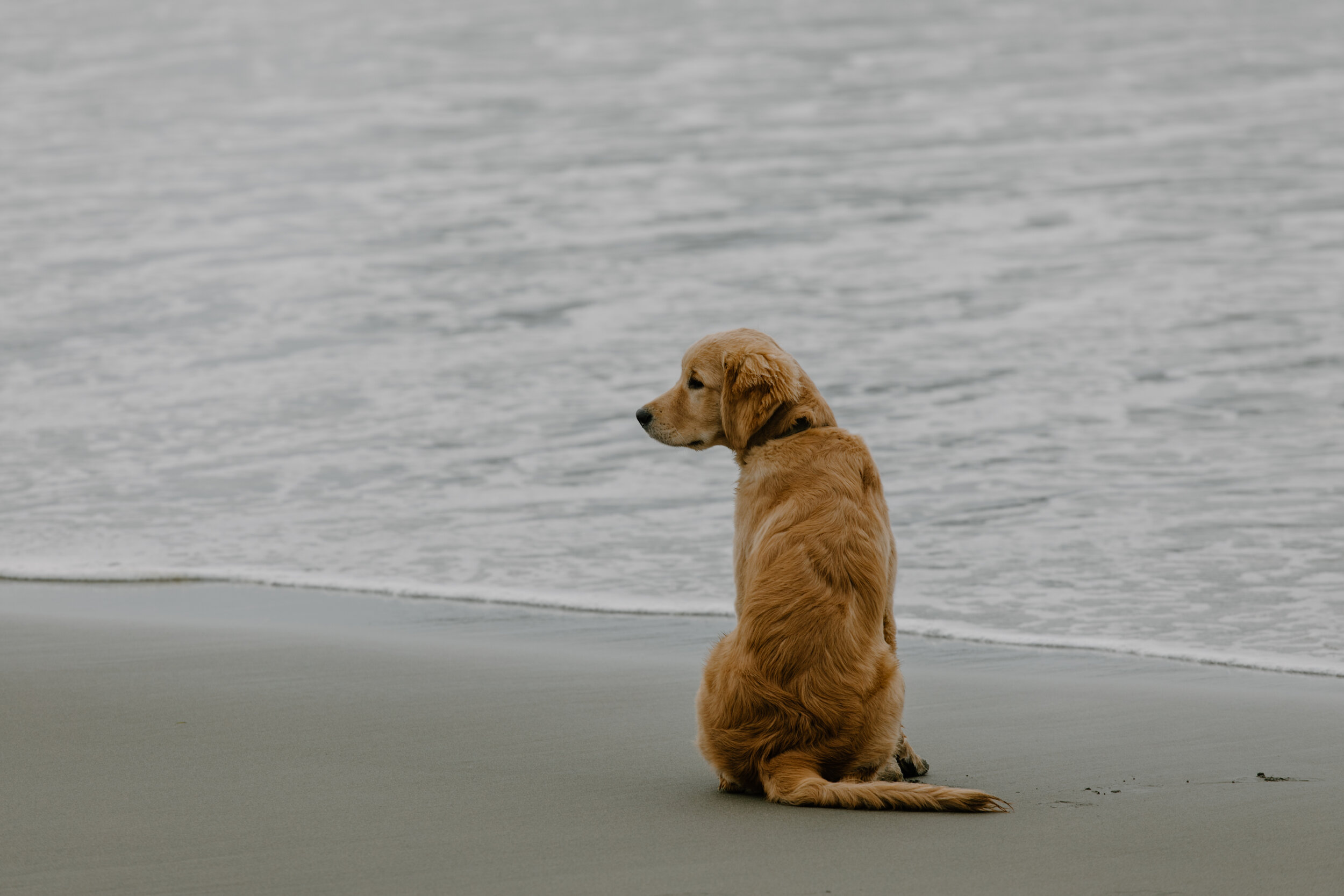 Tofino1-125.jpg