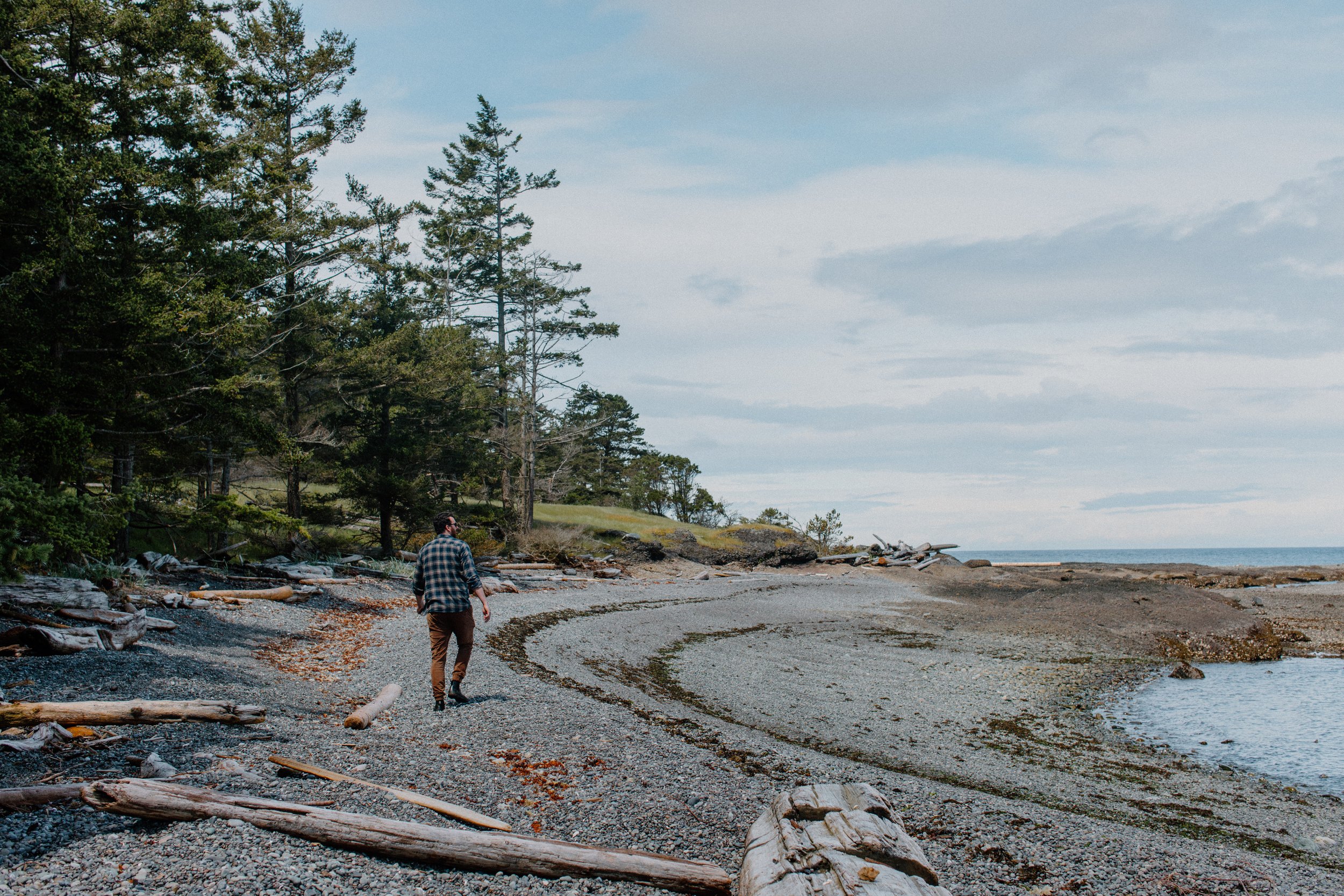 HornbyIsland-1554-2.jpg