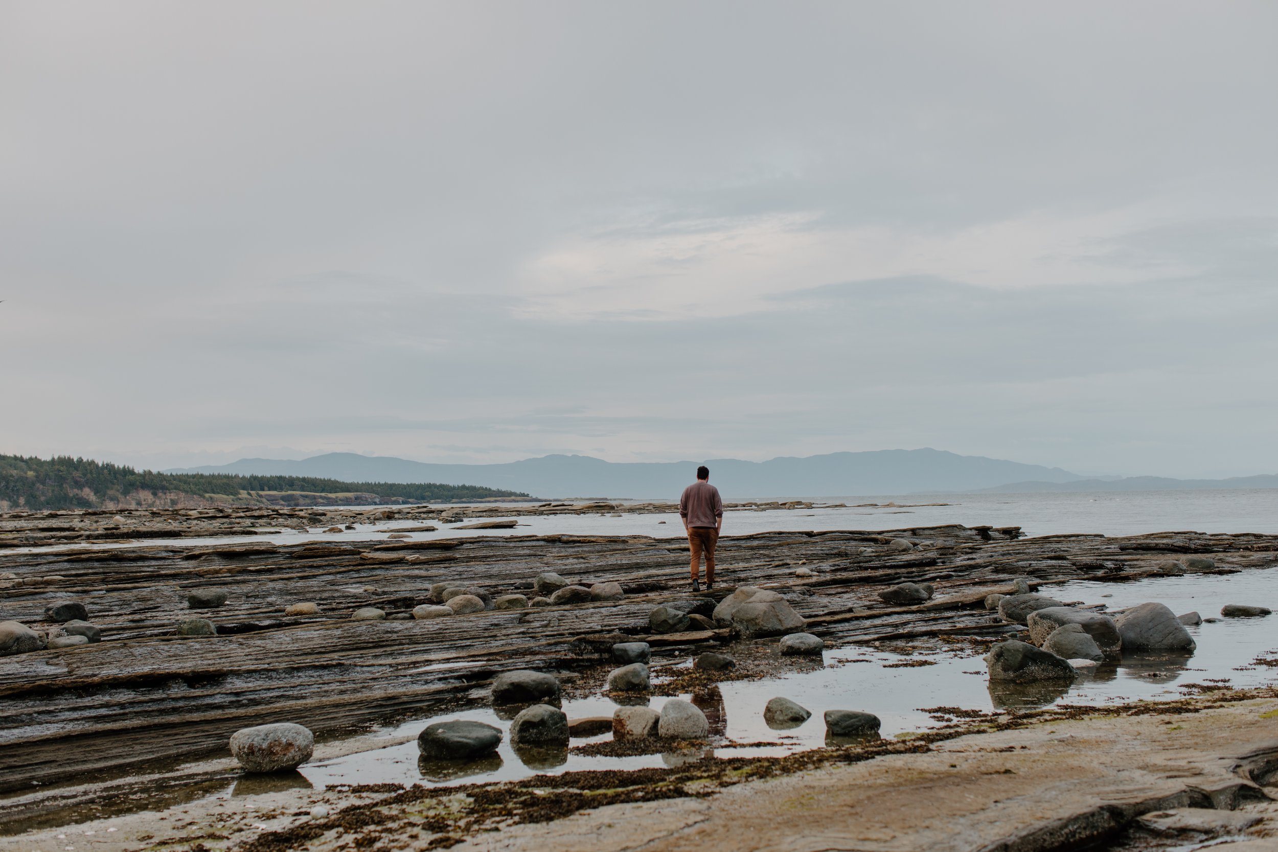 HornbyIsland-1738-2.jpg