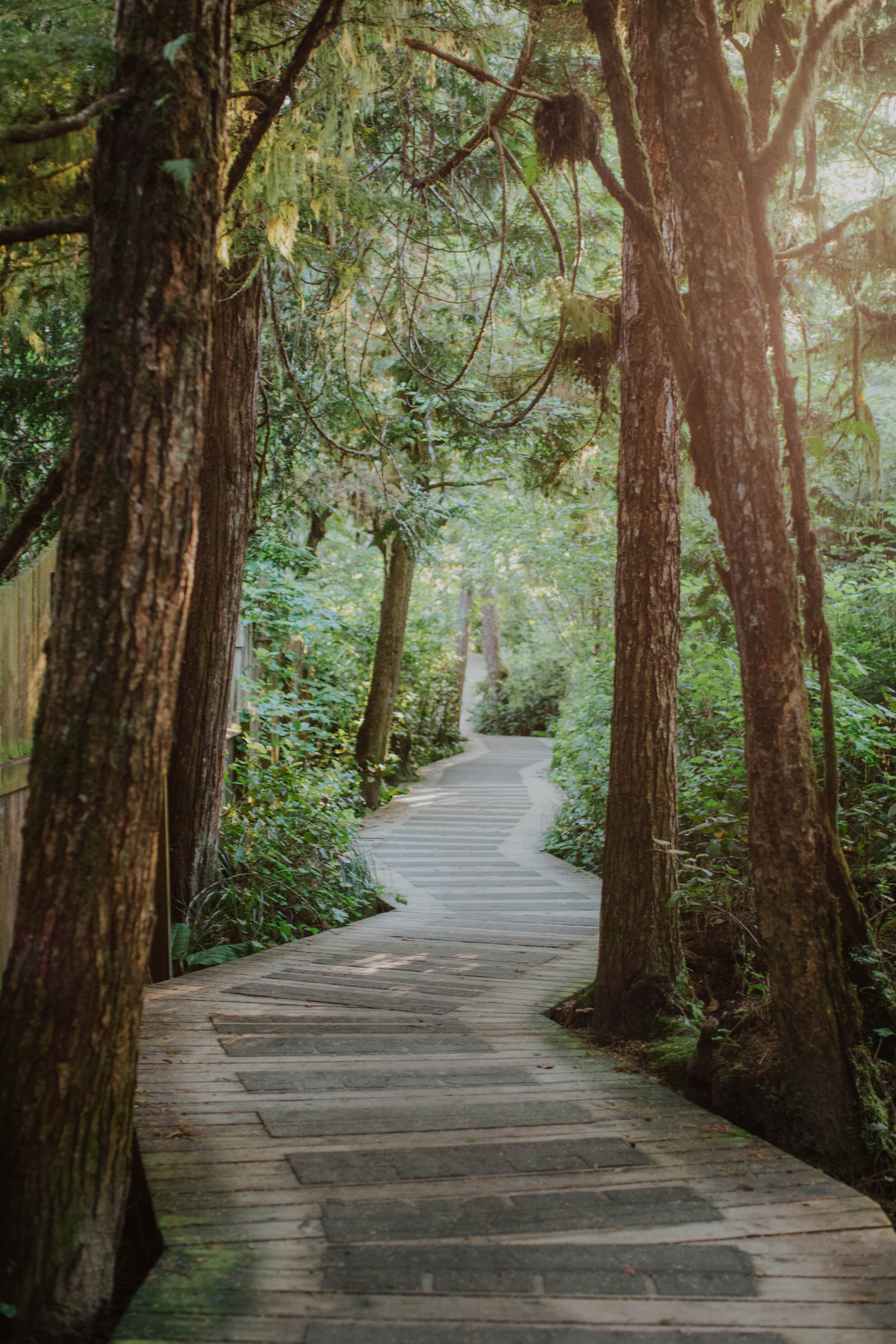 Tofino2021-44.jpg