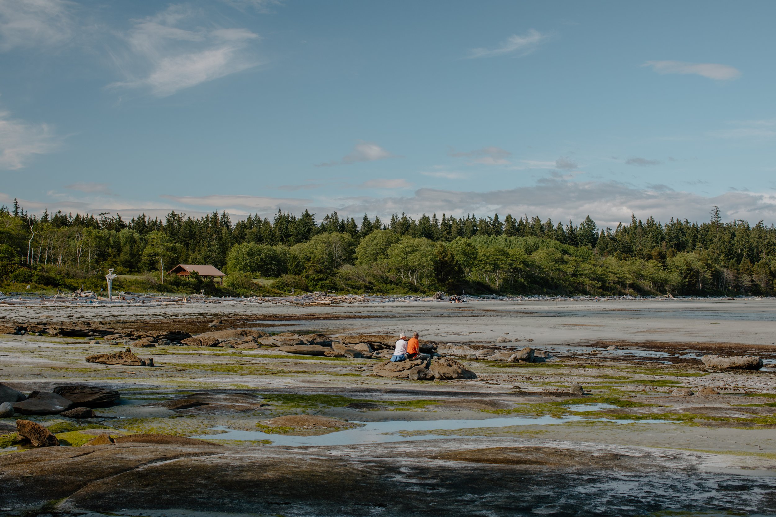 HornbyIsland-1678.jpg