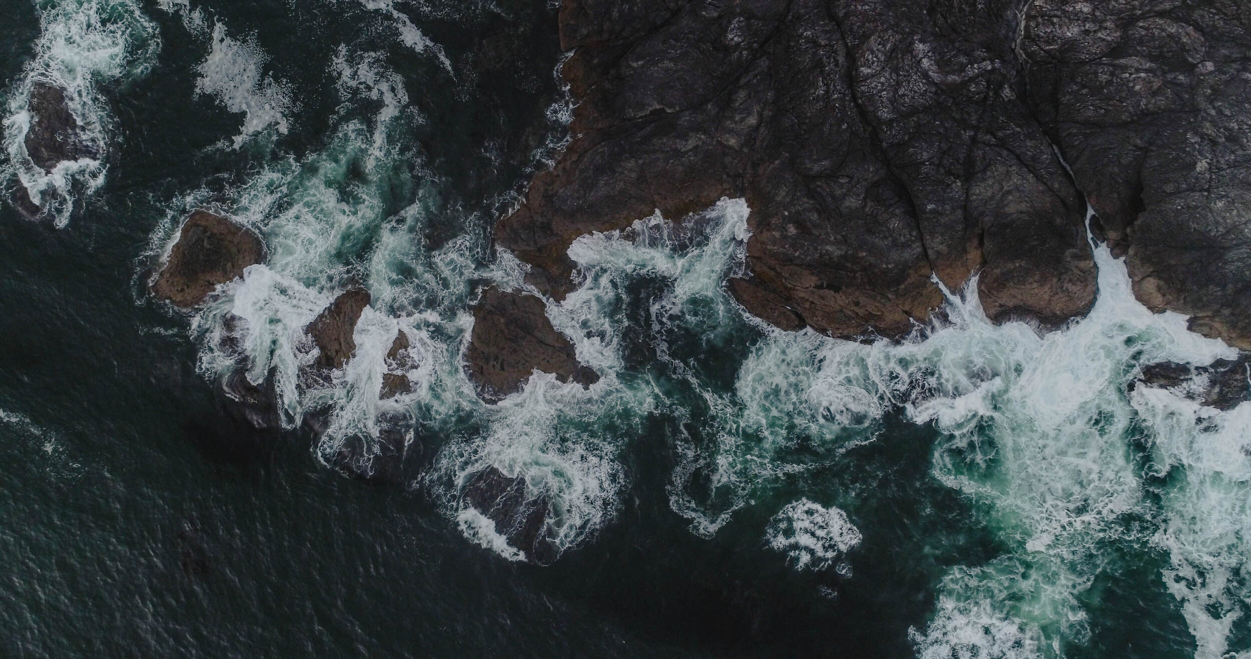 Tofino2021-415.jpg