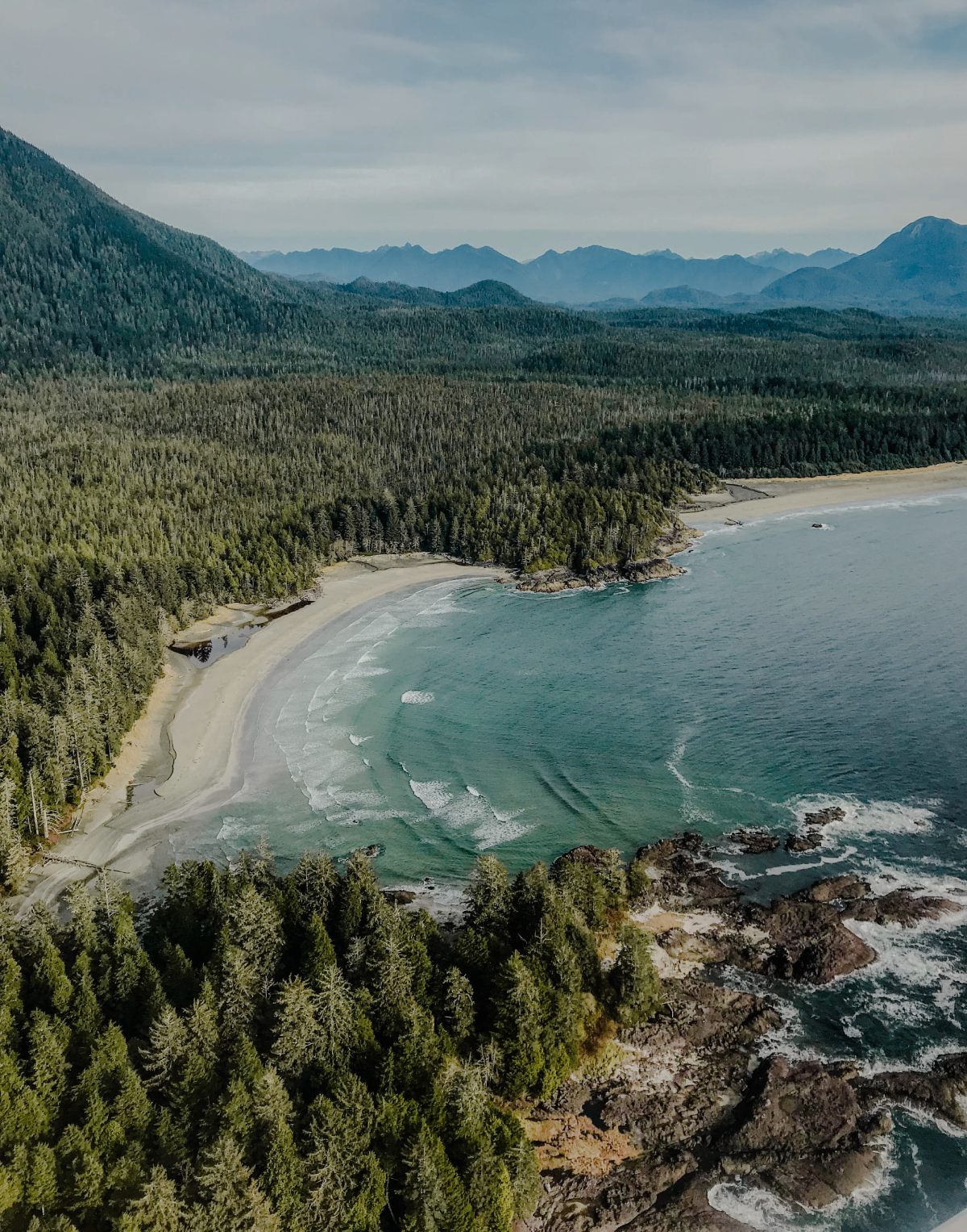 tofino-ig.png