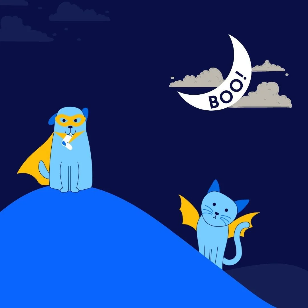 Halloween dog cat (1).jpg