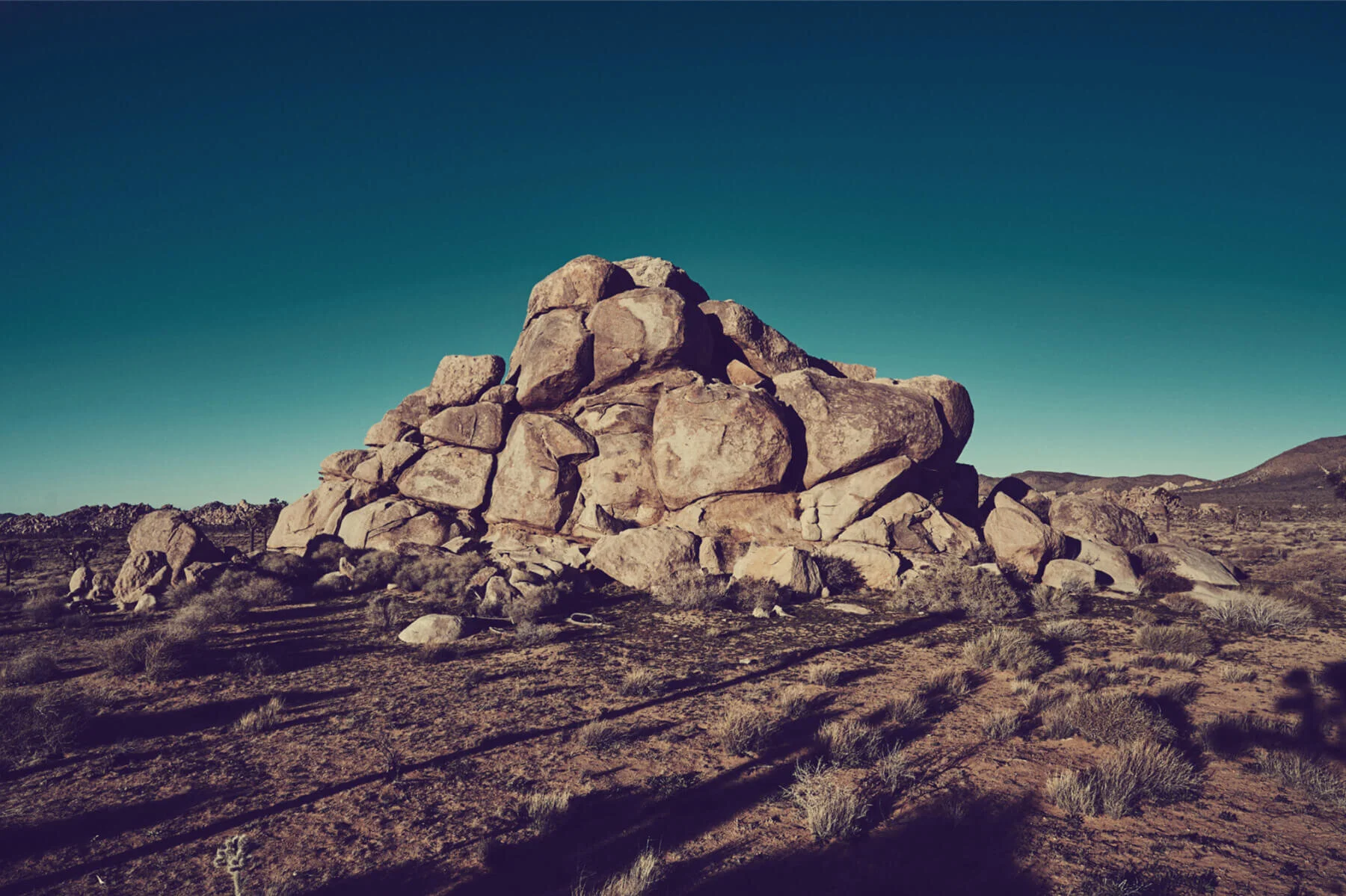 Nova Forum Seminar III: Imagining the End: Human Limits