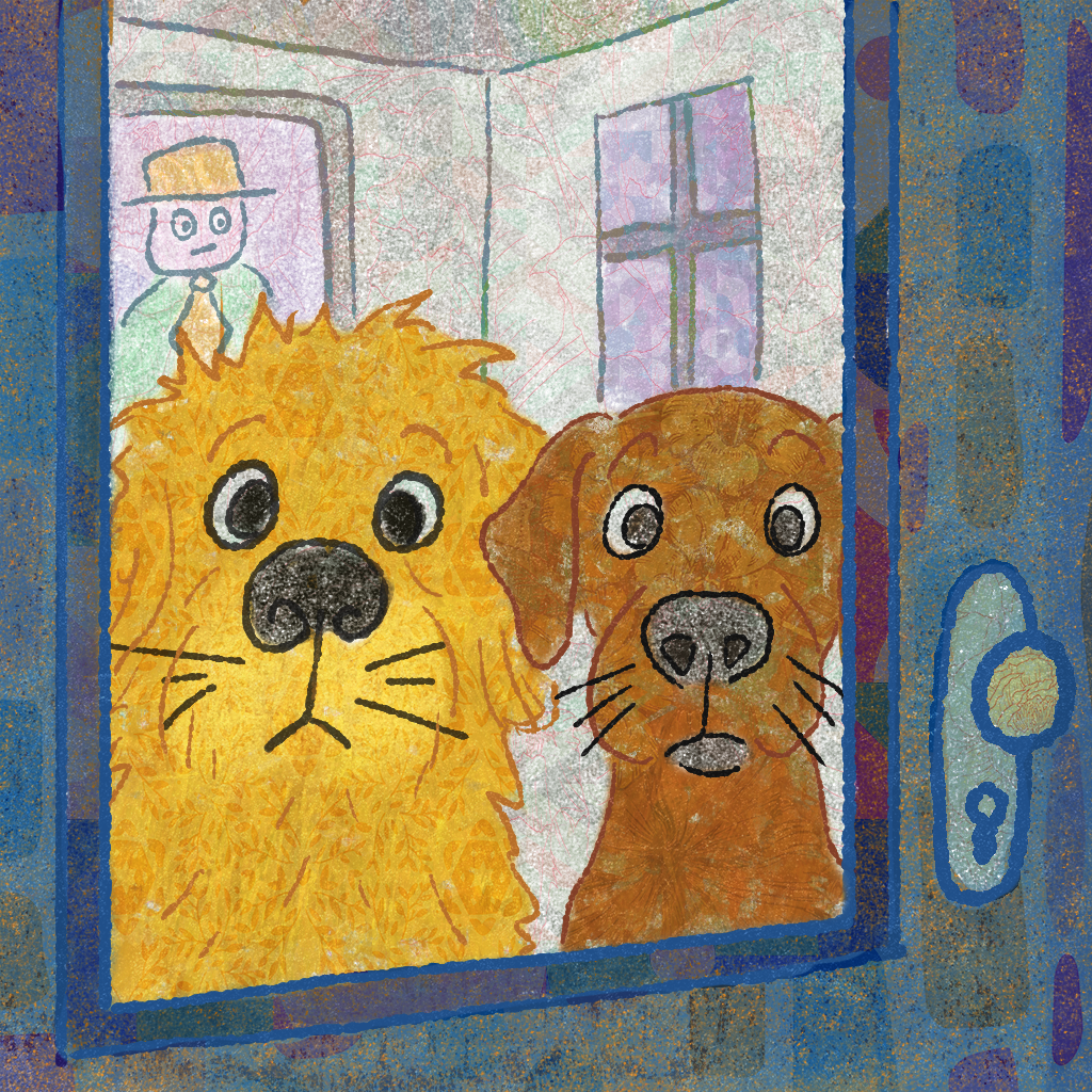 Two dogs look surprised