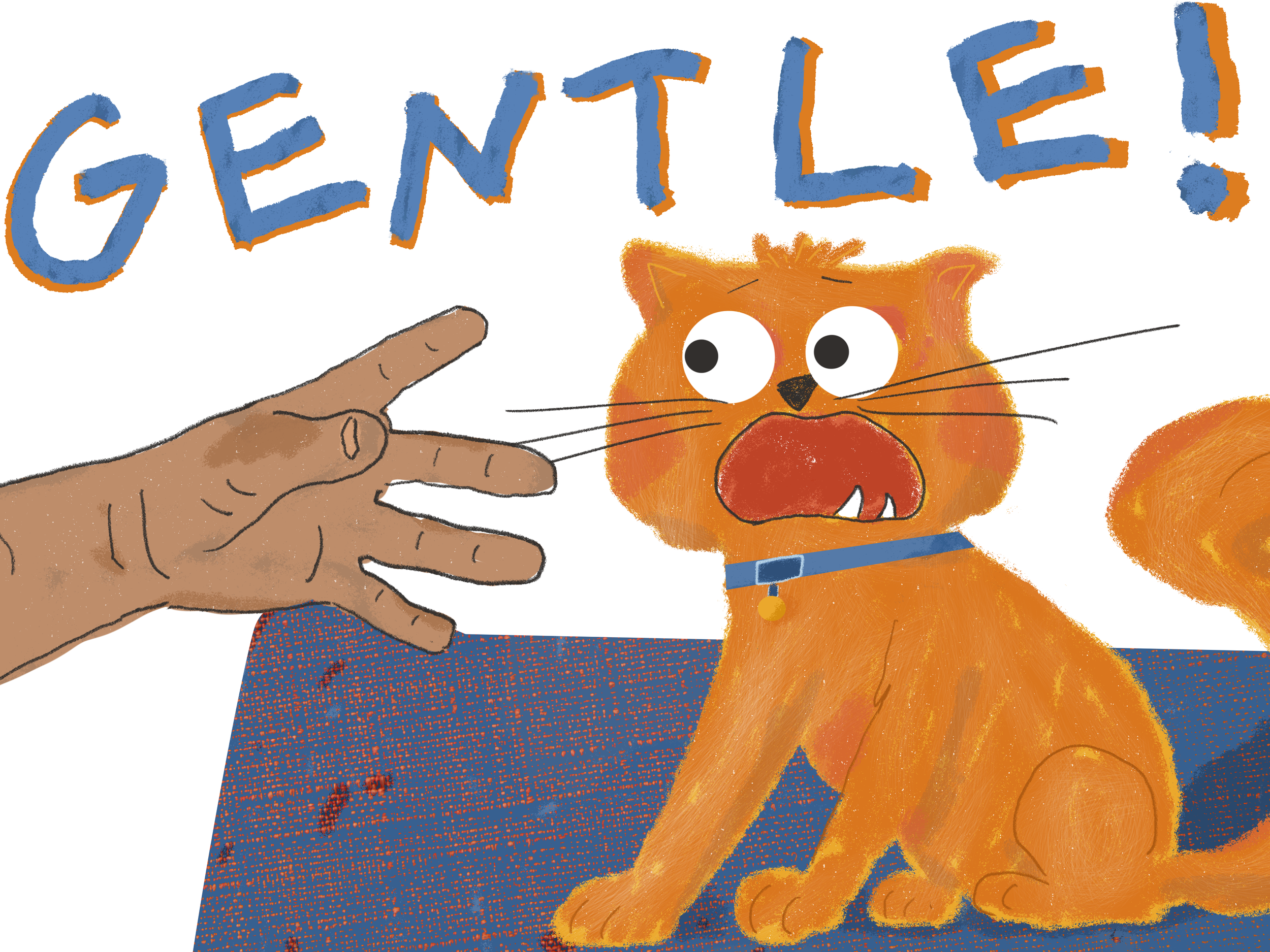 A cat looks terrified while a voice screams "gentle"