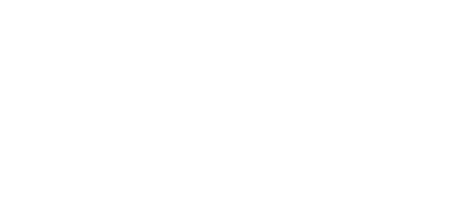 Datasoft Tally Customization