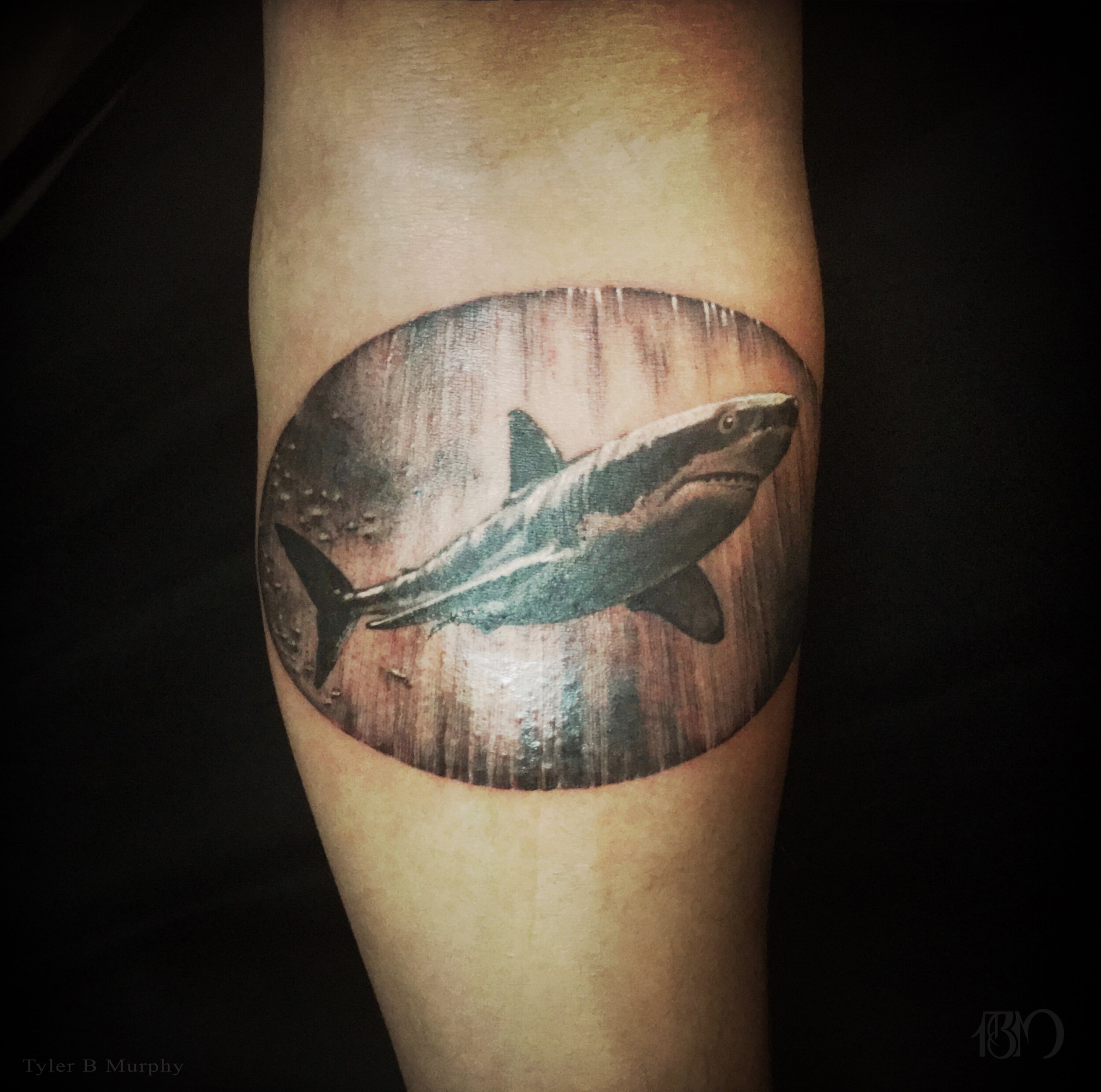 13a - Shark tattoo Tyler B Murphy copy.jpg