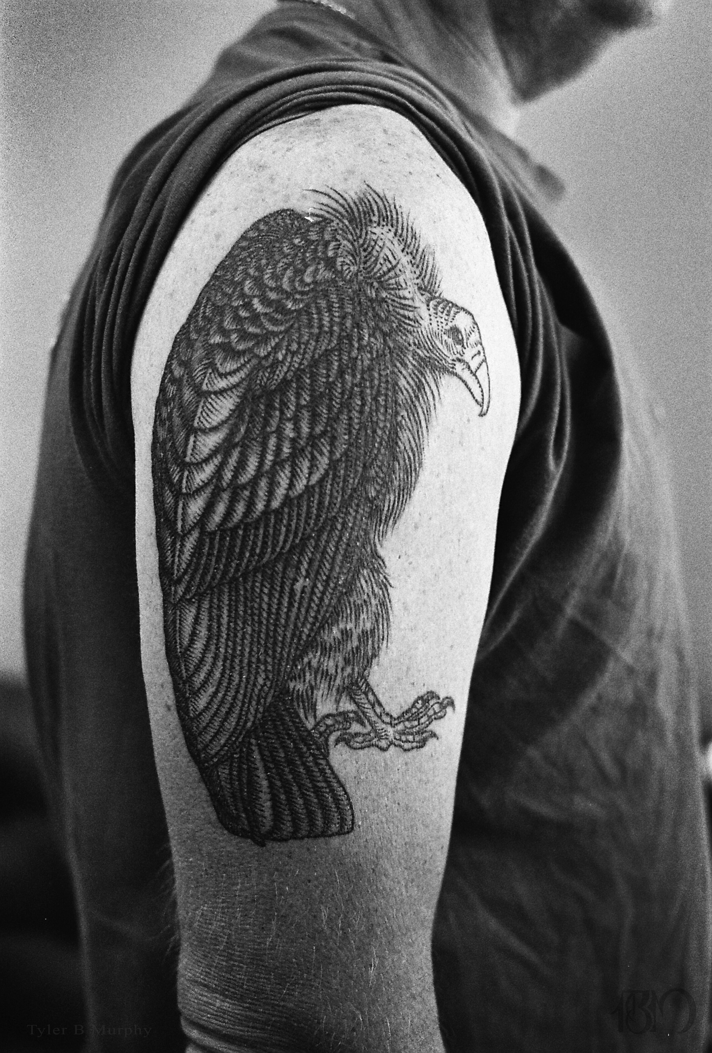 20 - Vulture tattoo Tyler B Murphy copy.jpg