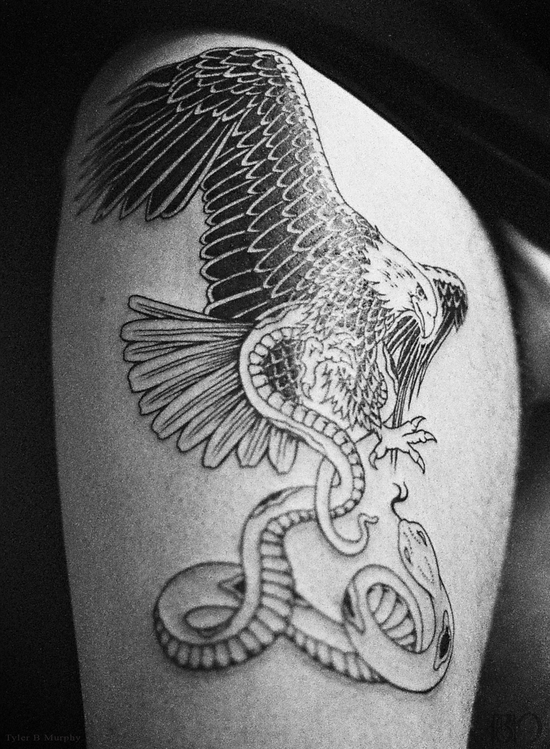 20b - Eagle vs Snake tattoo Tyler B Murphy copy.jpg