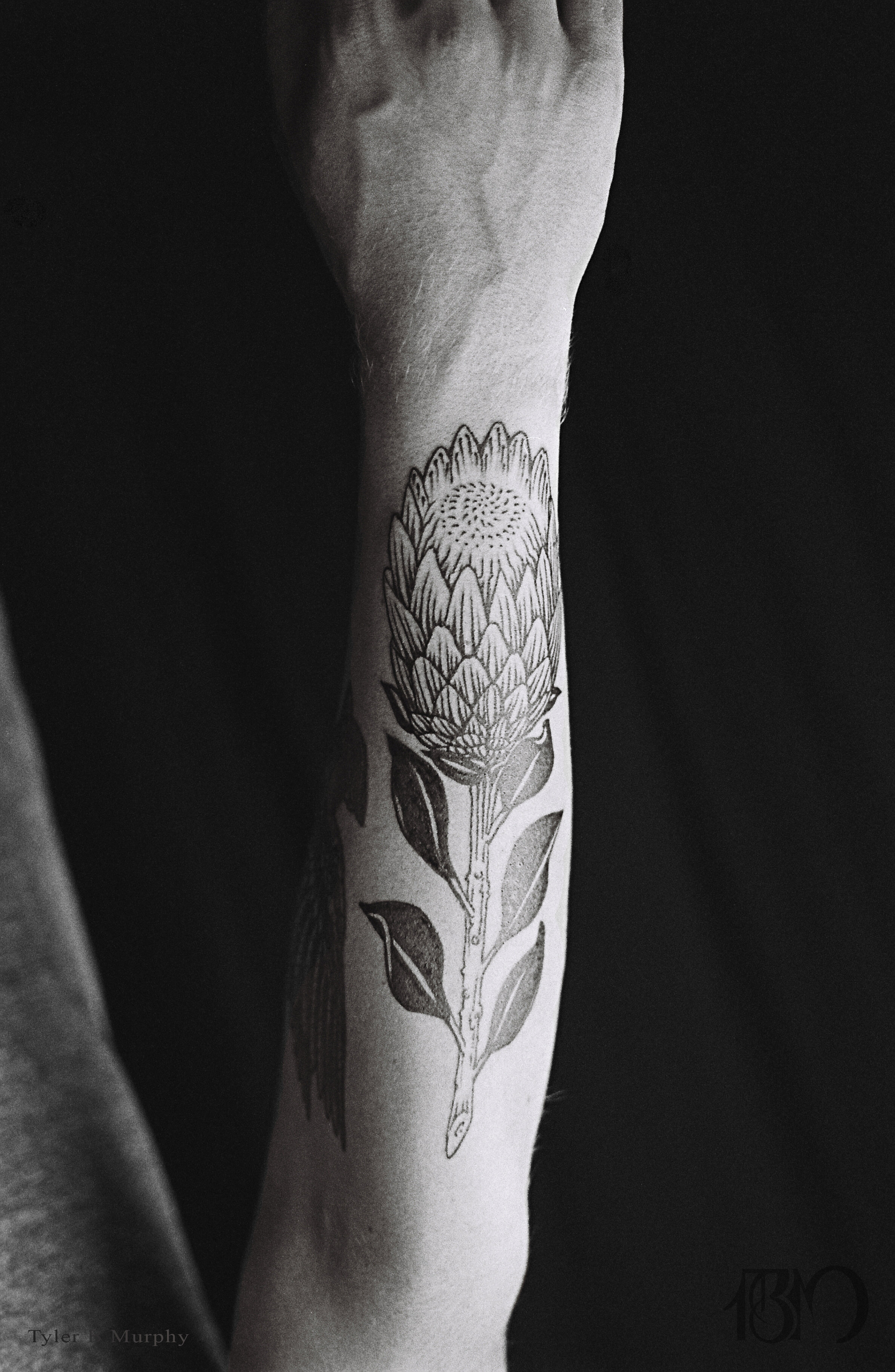 24 -Protea tattoo on arm Tyler B Murphy copy.jpg