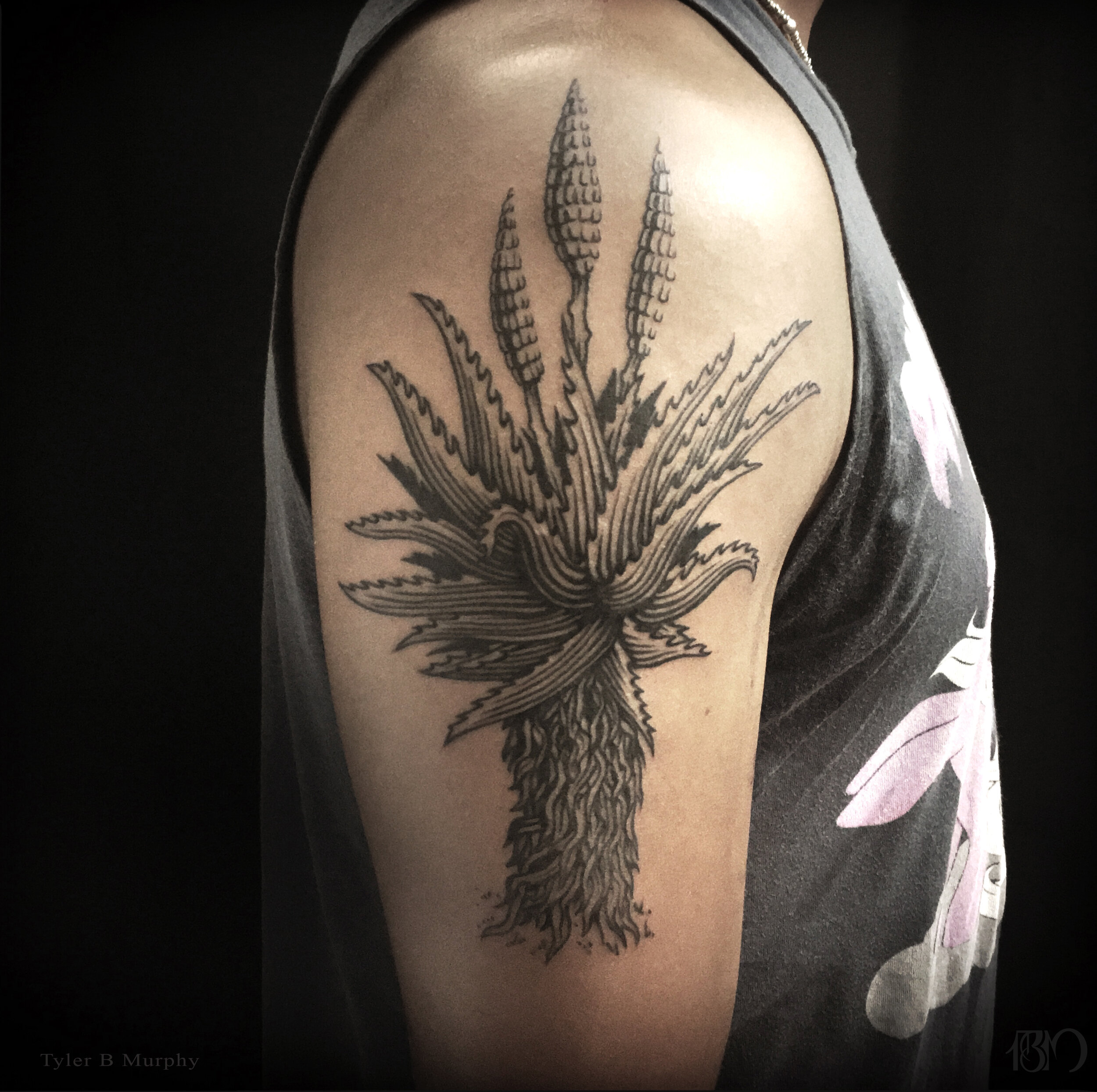 30 - Aloe Ferox tattoo Tyler B Murphy copy.jpg