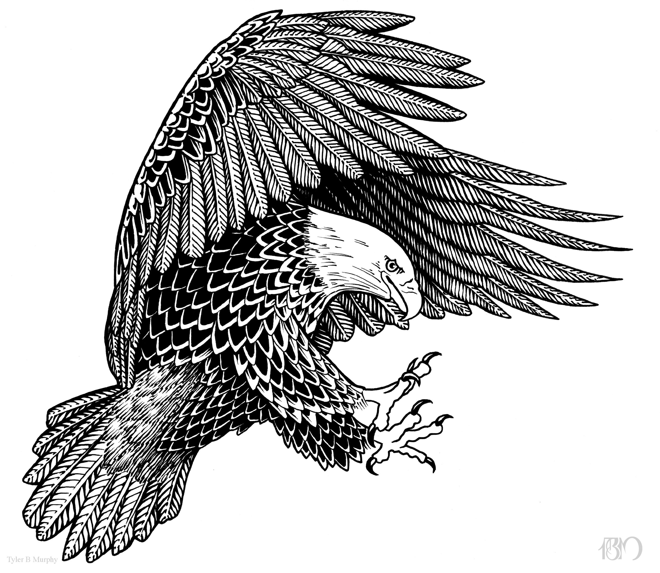 12 - Black Eagle illustration Tyler B Murphy.jpg