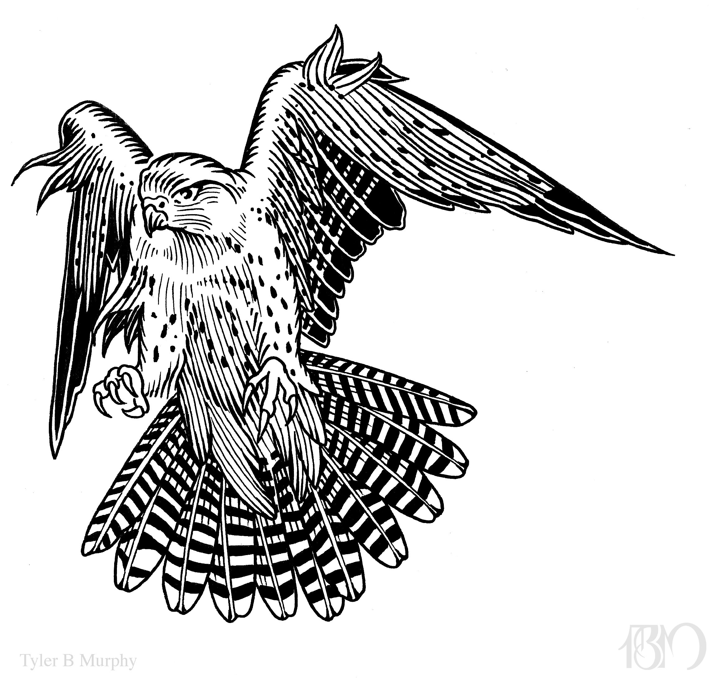 Buy Falcon, Flying Bird, Traditional Tattoo Flash, Black and White, Old  School, Art Print 16x12 Online in India - Etsy