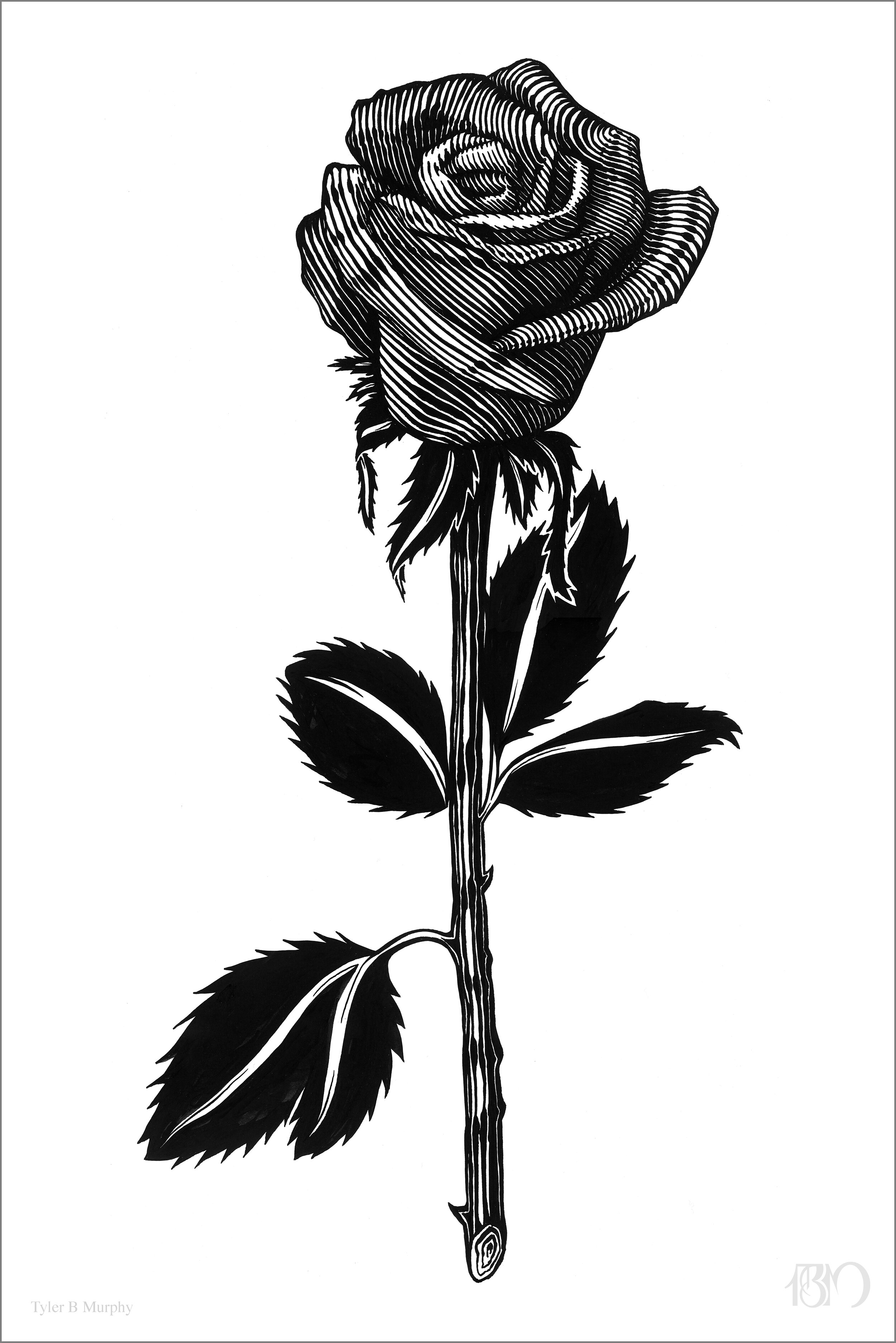 15 -Dark rose illustration Tyler B Murphy copy.jpg