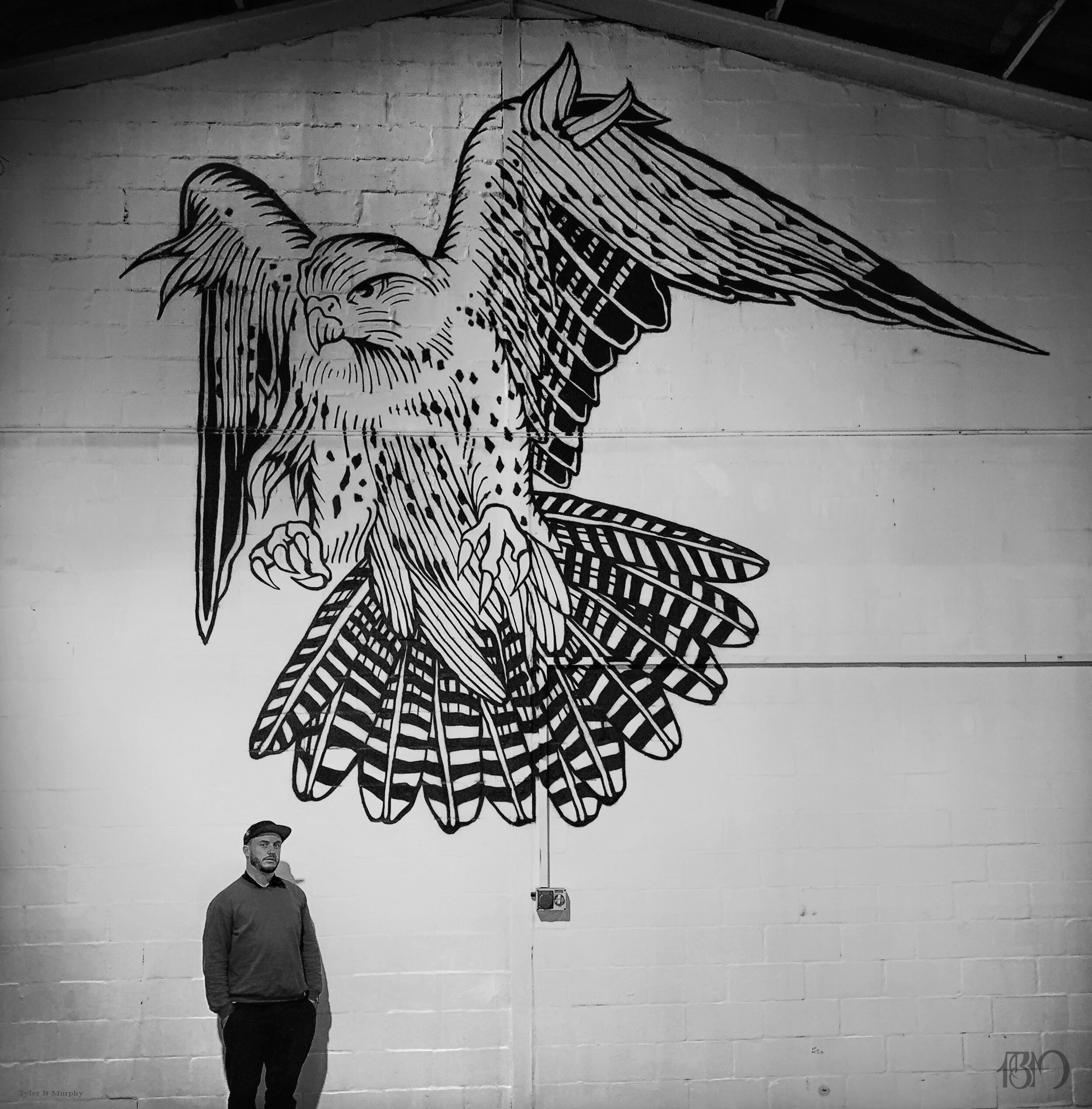 11 -Bird mural Tyler B Murphy copy.jpg